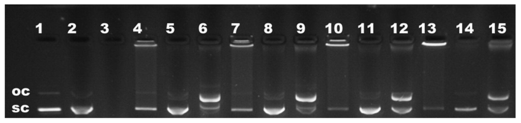 Polymers 06 01727 g004 1024