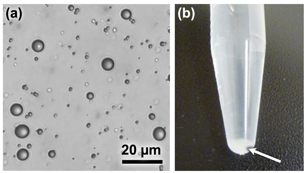 Polymers 06 01756 g001 1024