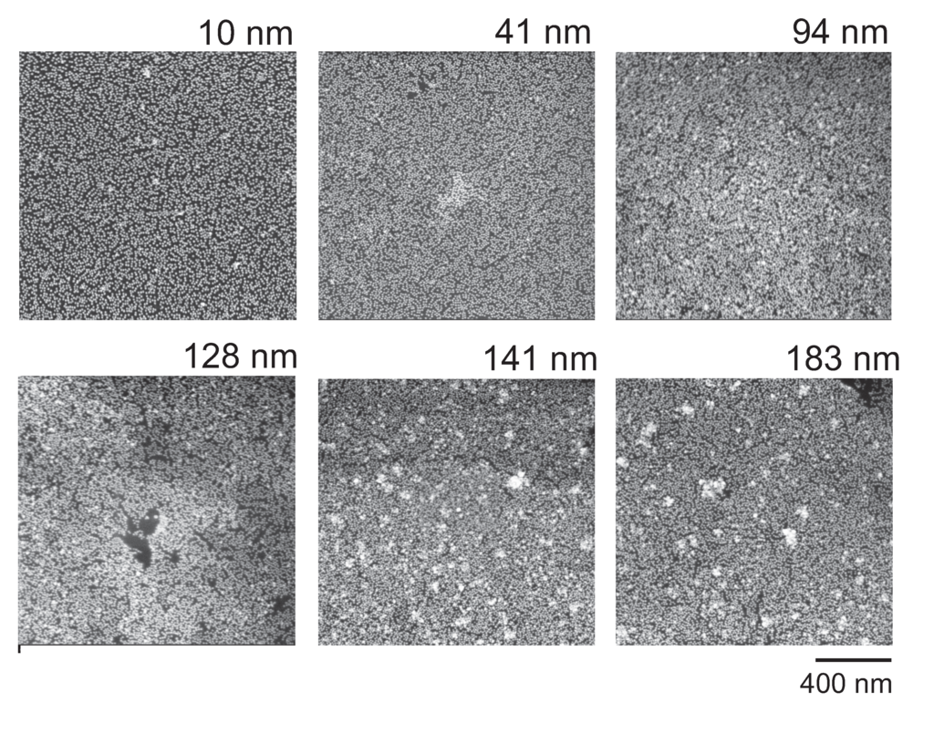 Polymers 06 01877 g005 1024