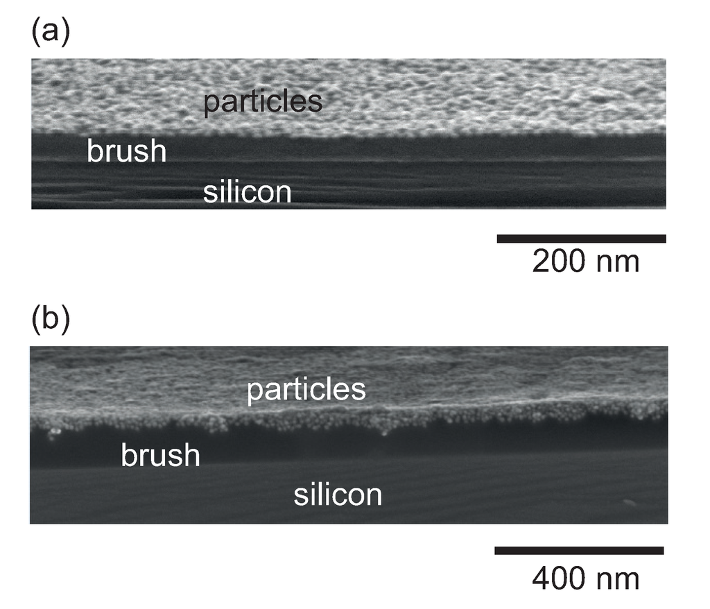 Polymers 06 01877 g006 1024