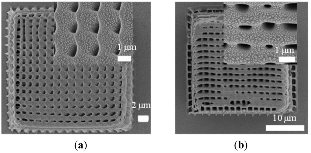 Polymers 06 02037 g010 1024