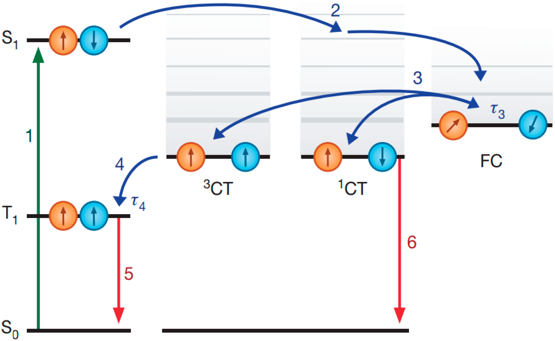 Polymers 06 02473 g004