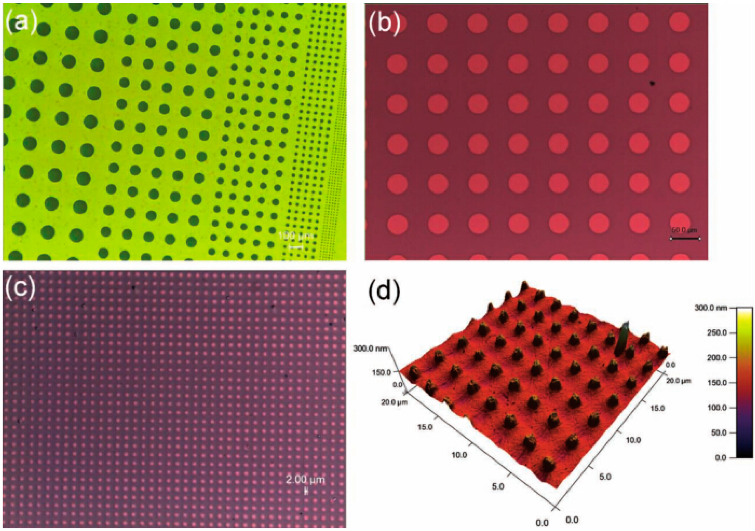 Polymers 06 02473 g009