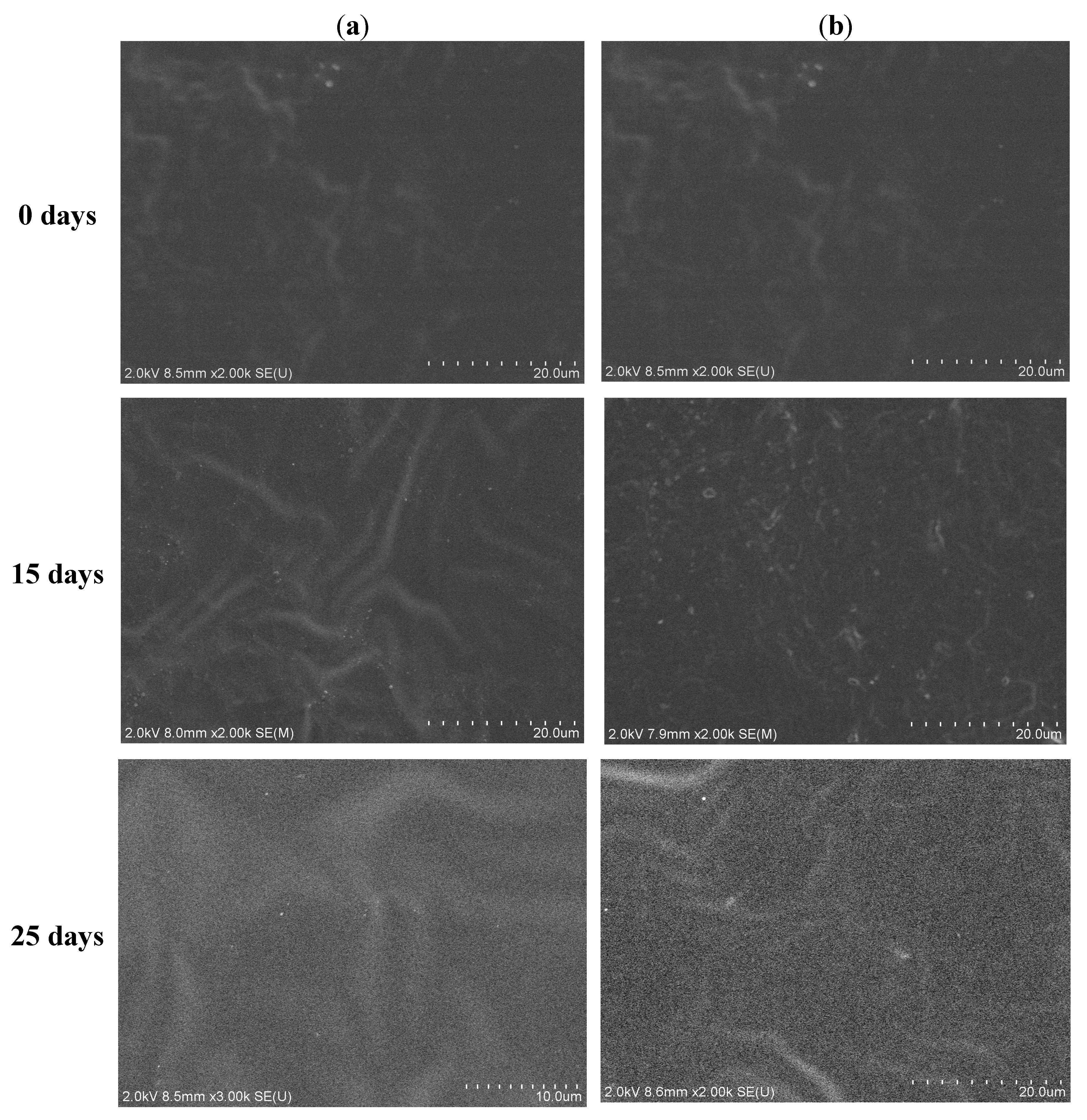 Polymers 07 00468 g007a