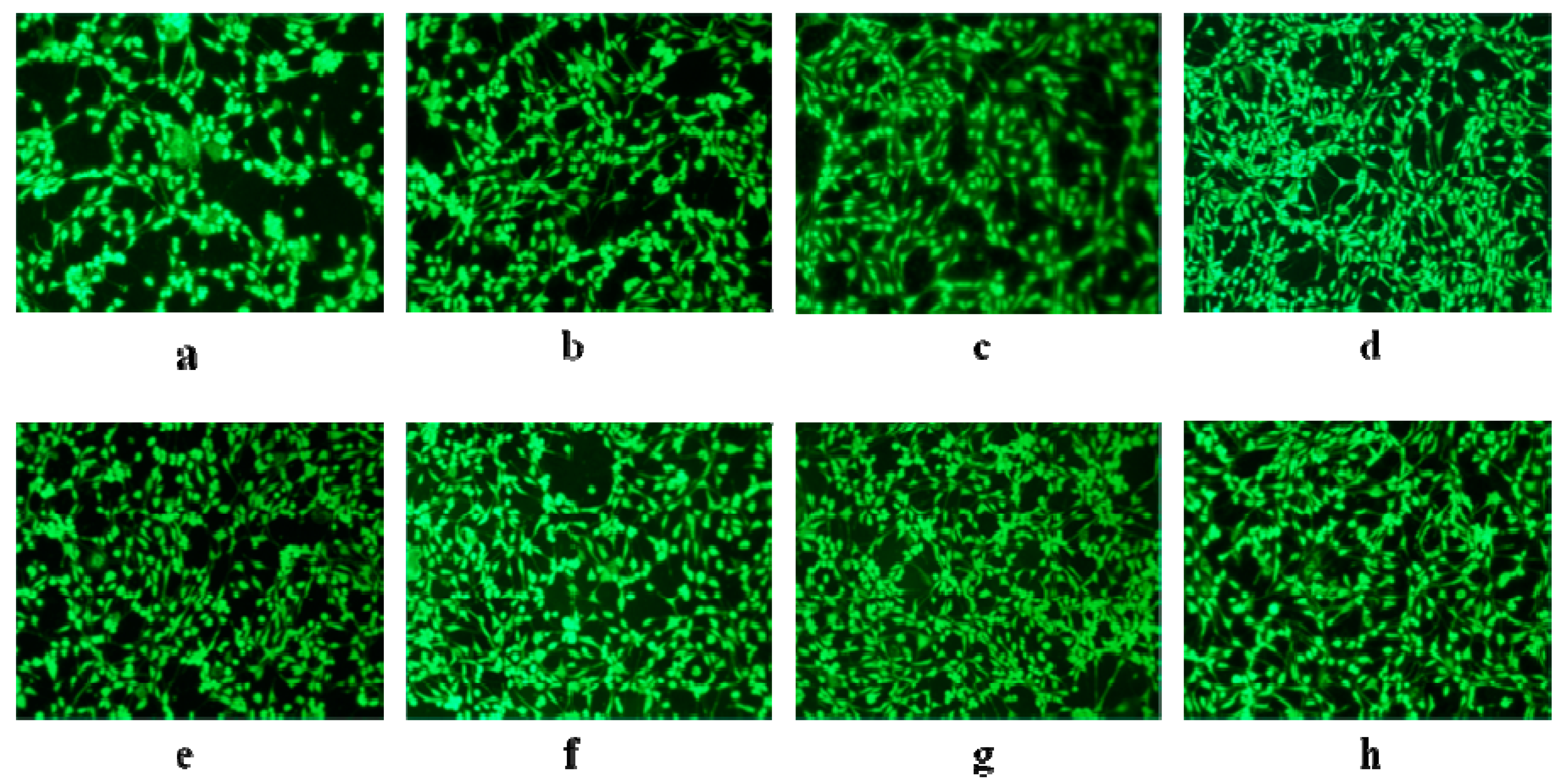 Polymers 07 00468 g009
