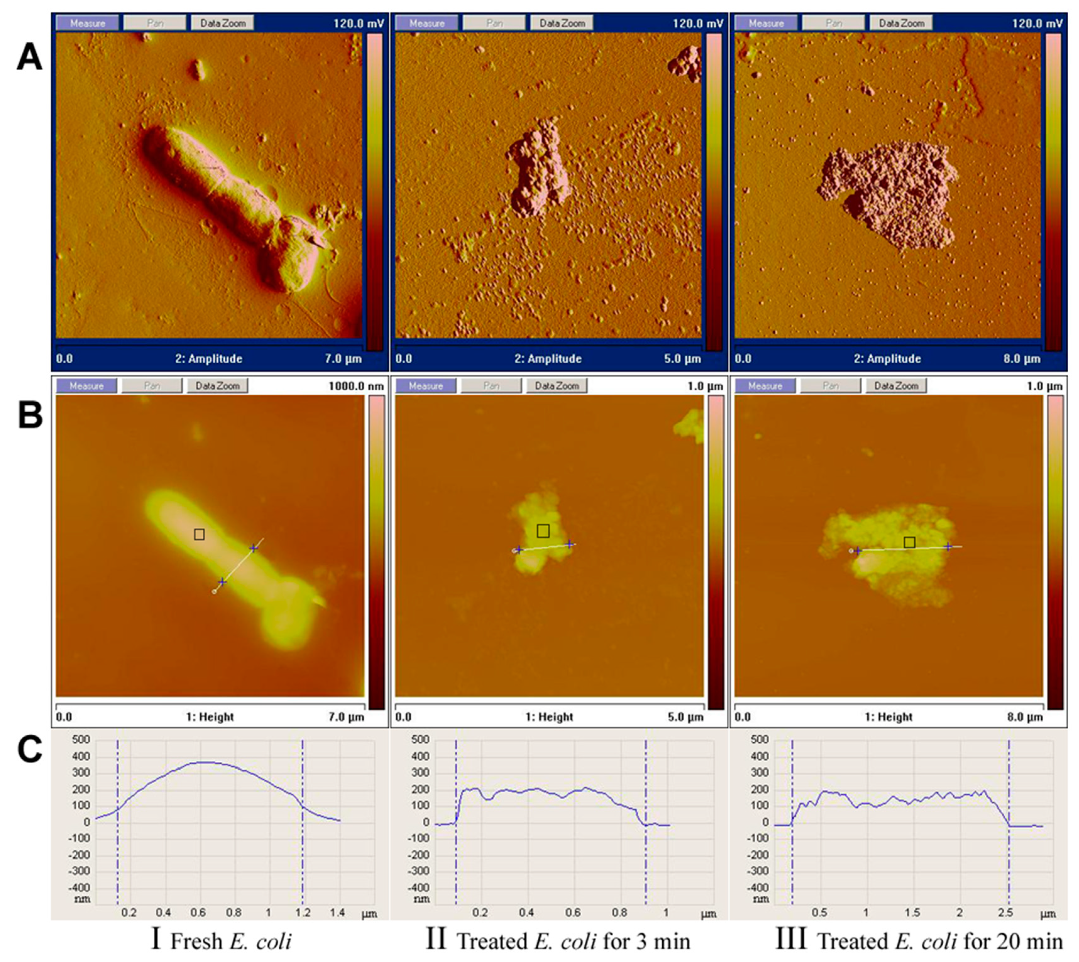 Polymers 07 01514 g005