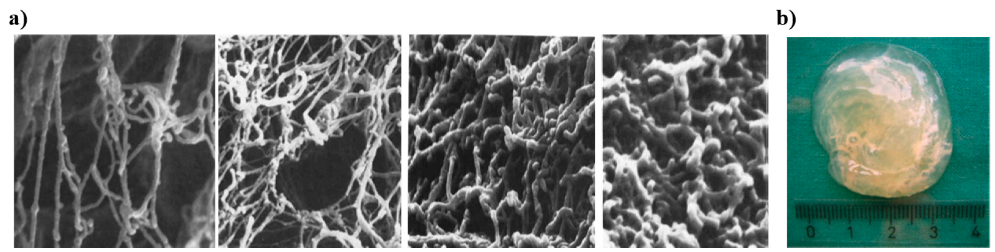 Polymers 08 00071 g004
