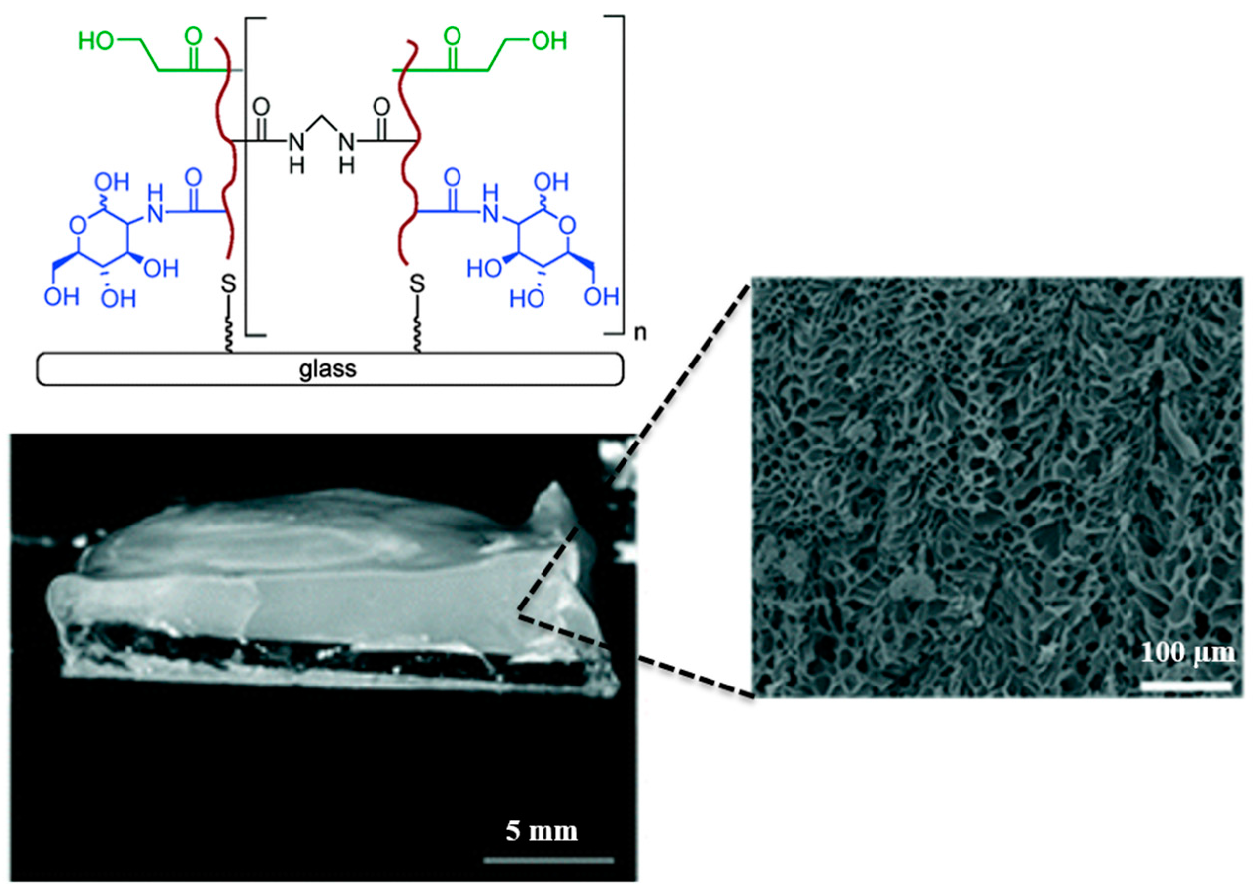 Polymers 08 00071 g007