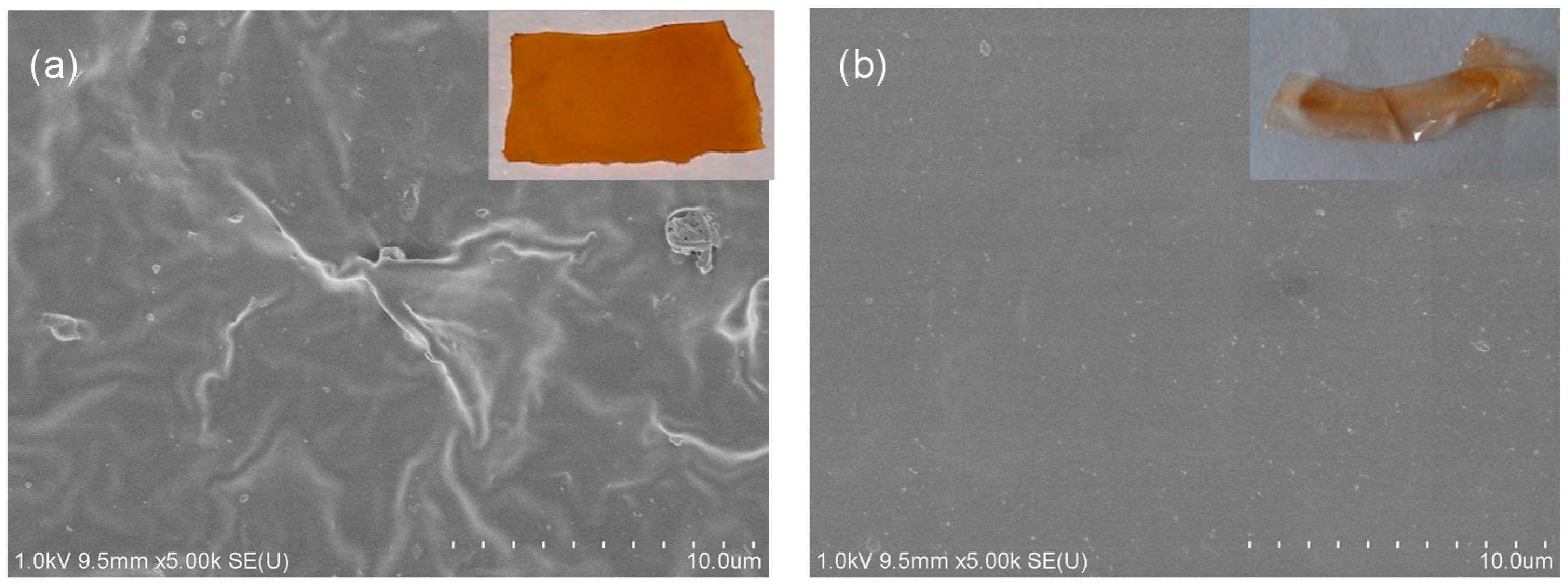 Polymers 08 00092 g005