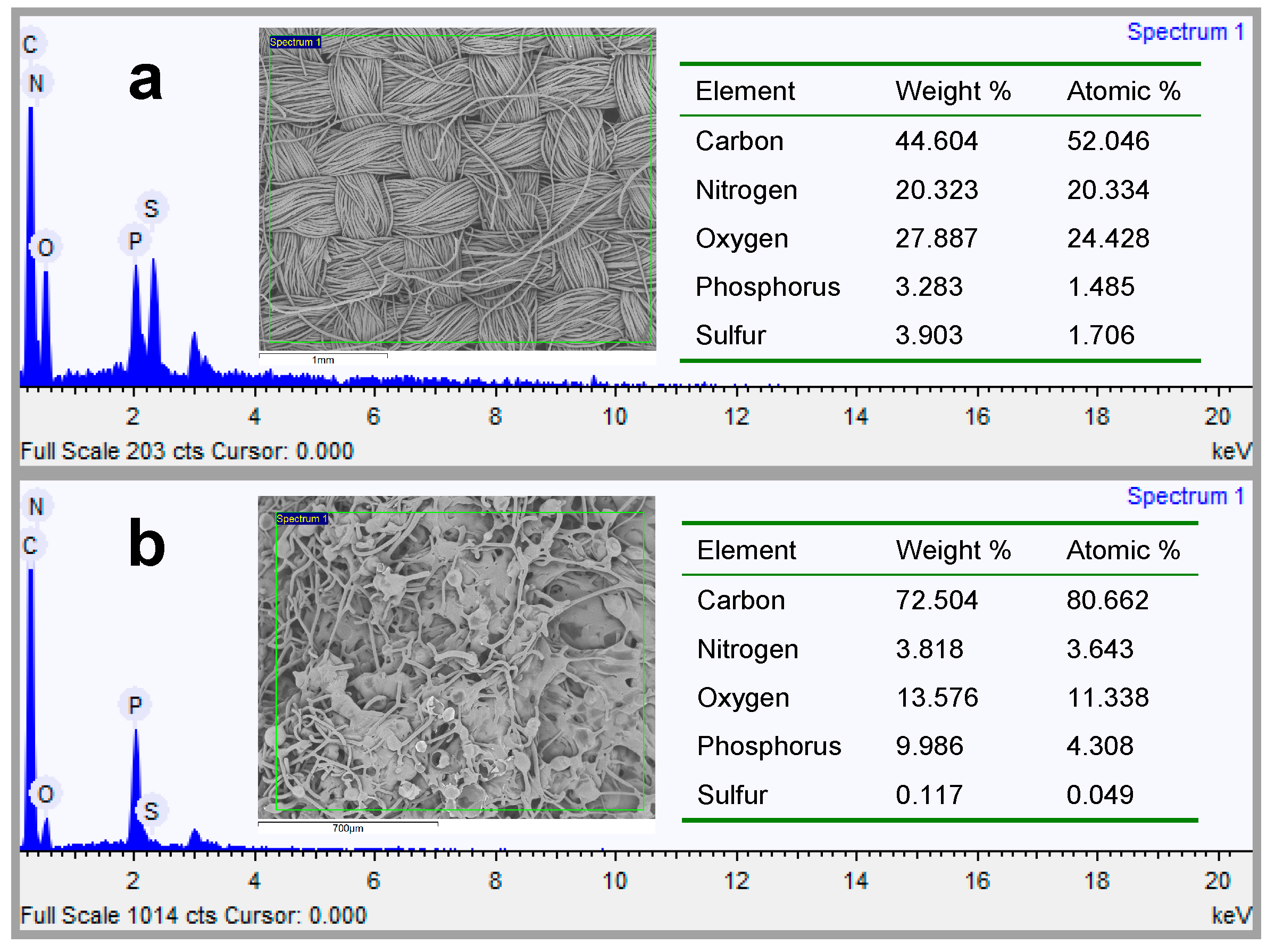 Polymers 08 00122 g012