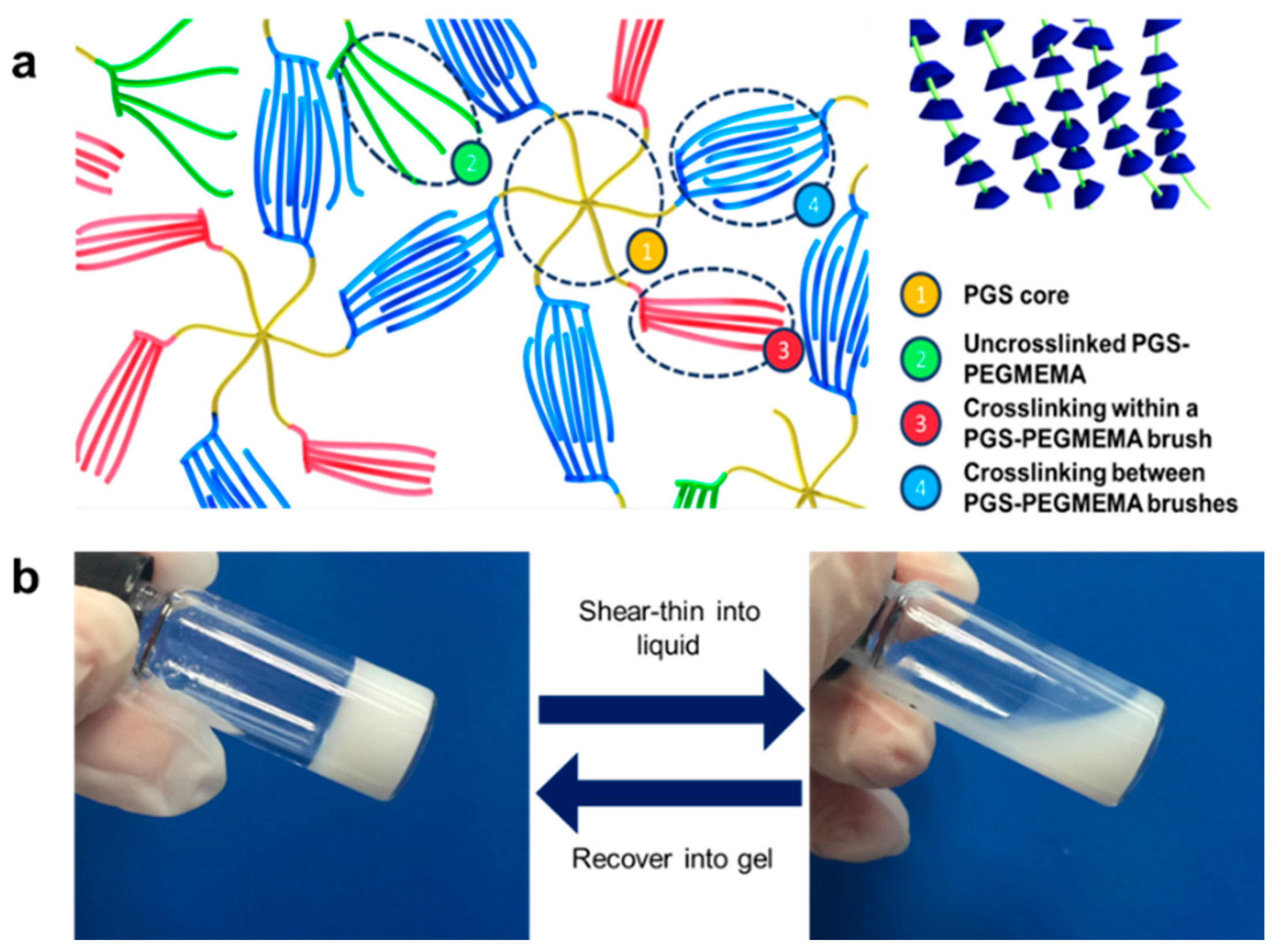 pdf Food Webs: From Connectivity