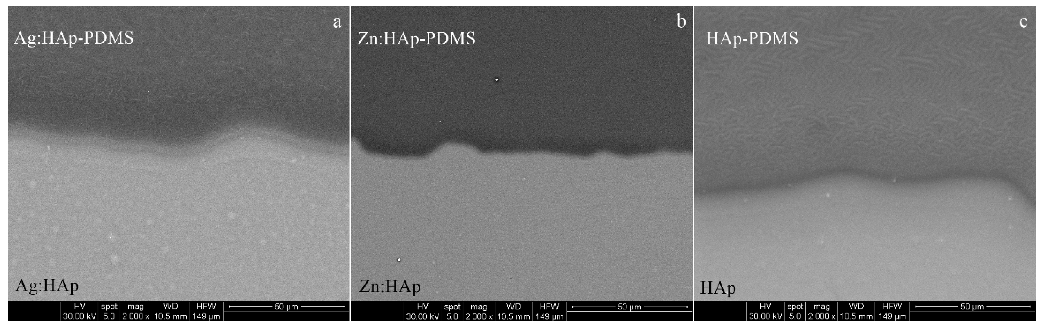 Polymers 08 00131 g002