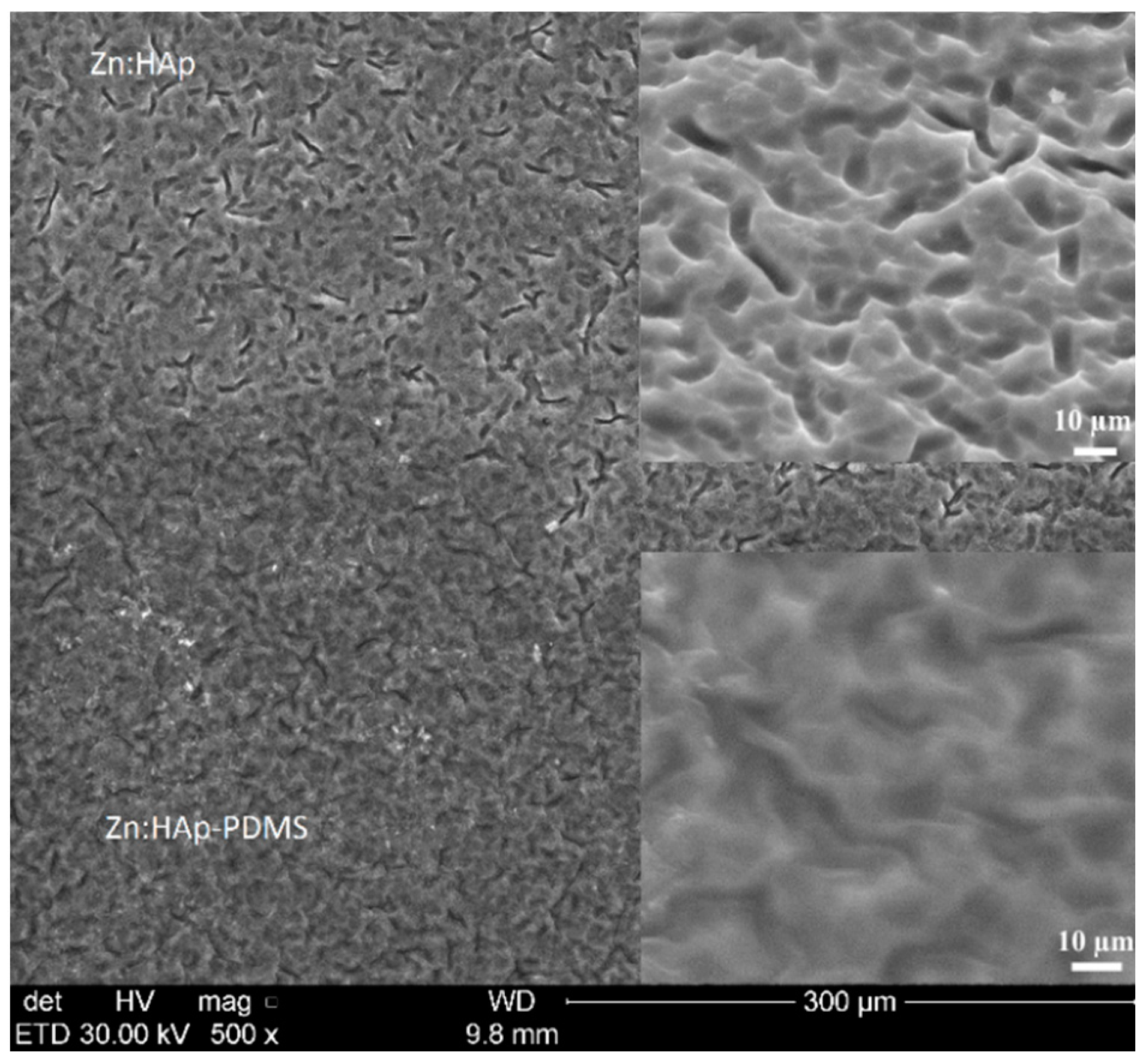 Polymers 08 00131 g003