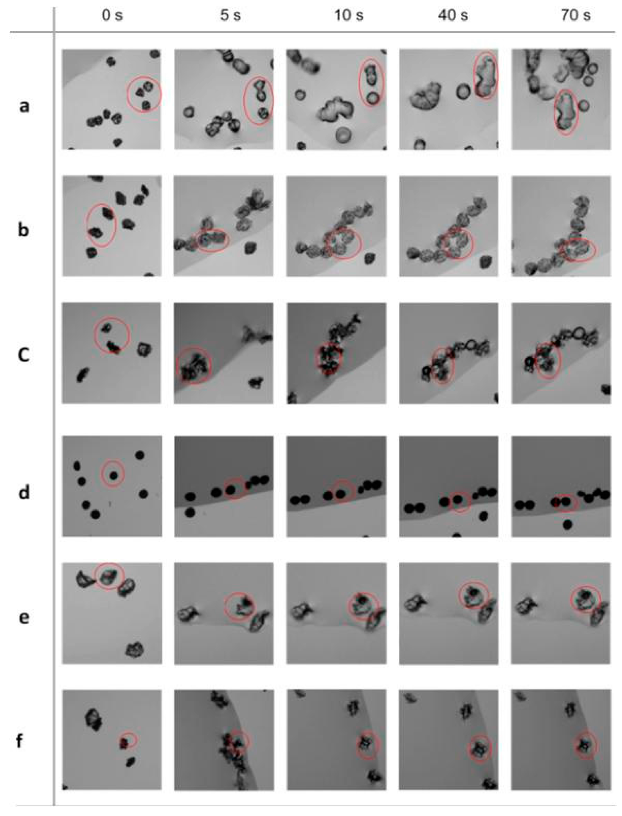 Polymers 08 00195 g006