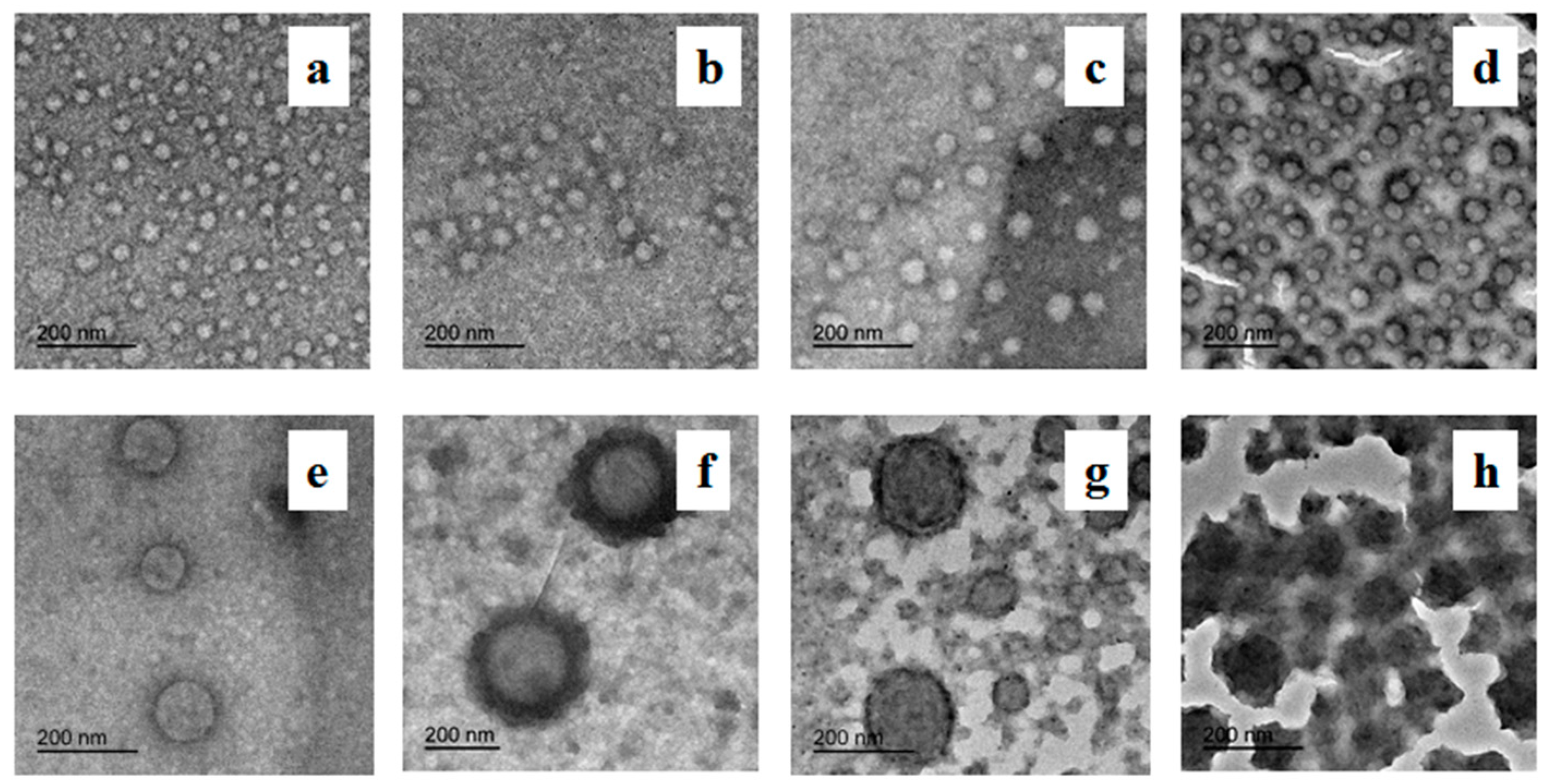 Polymers 08 00207 g006
