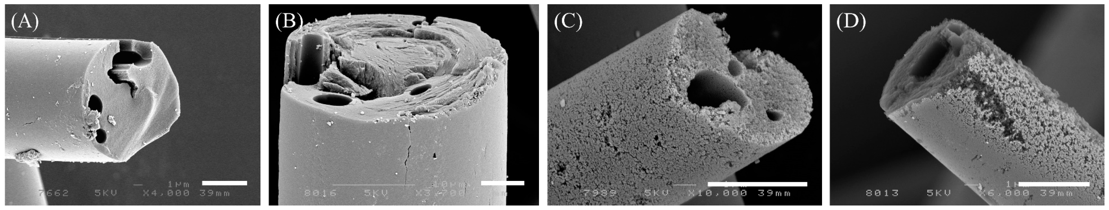 Polymers 08 00369 g001