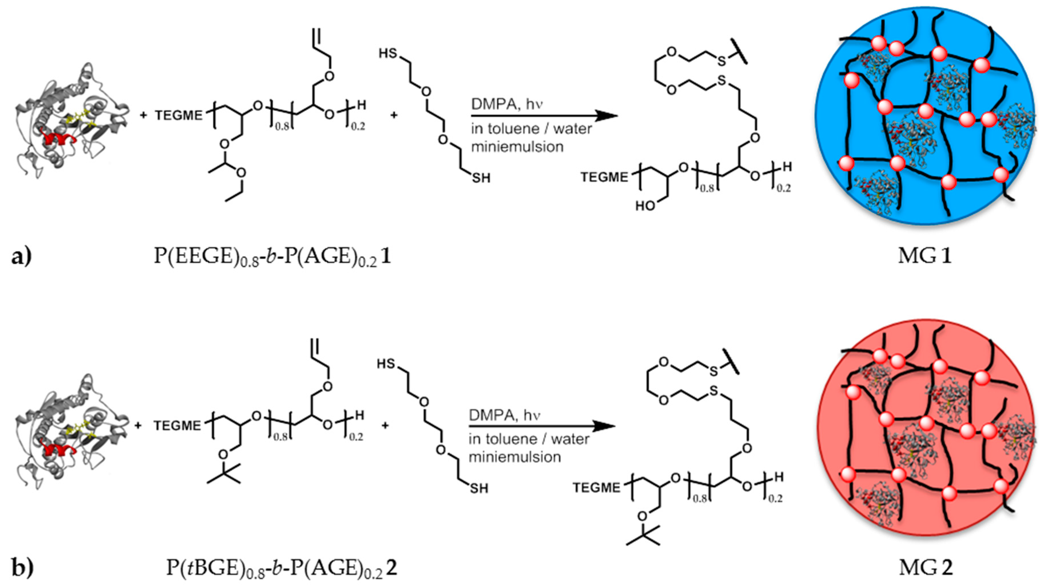 Polymers 08 00372 sch002