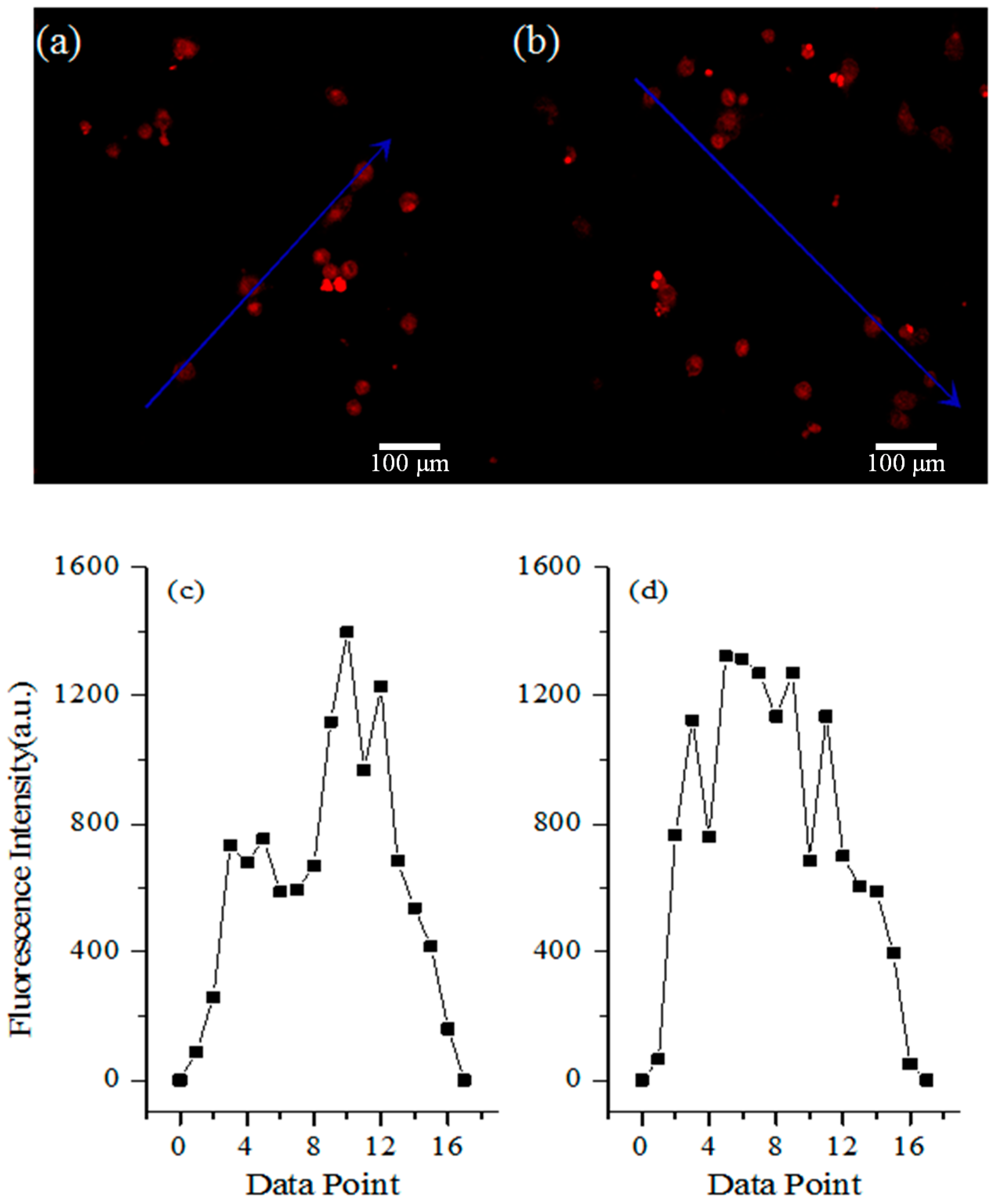 Polymers 08 00379 g006