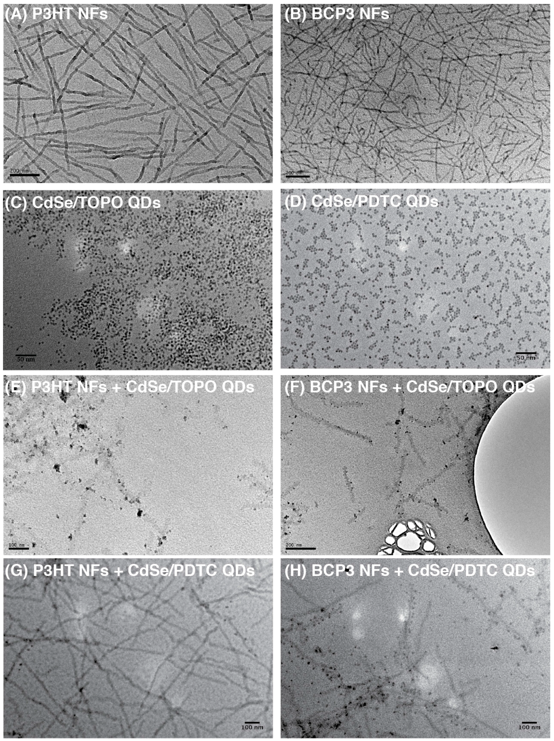 Polymers 08 00408 g004