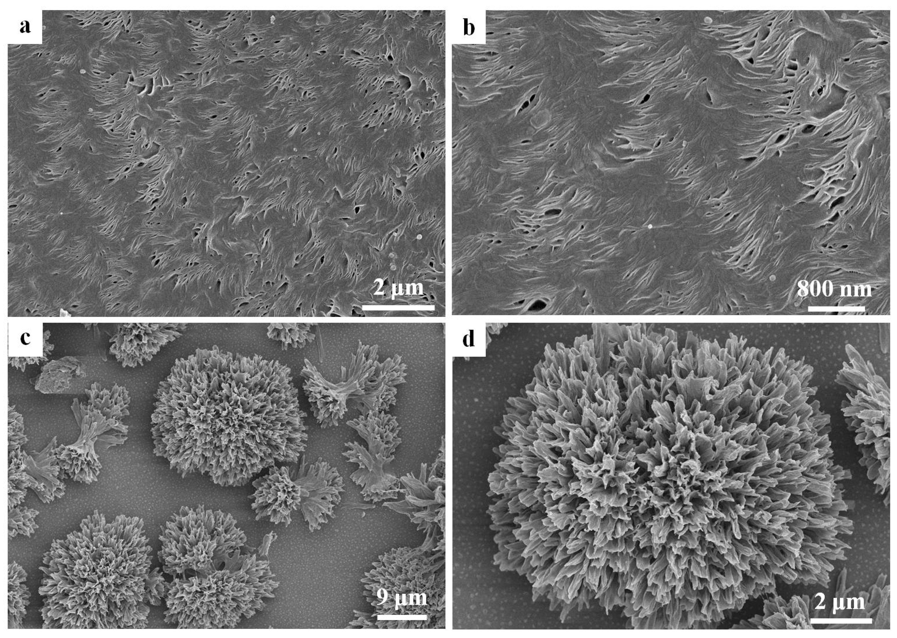Polymers 09 00042 g002