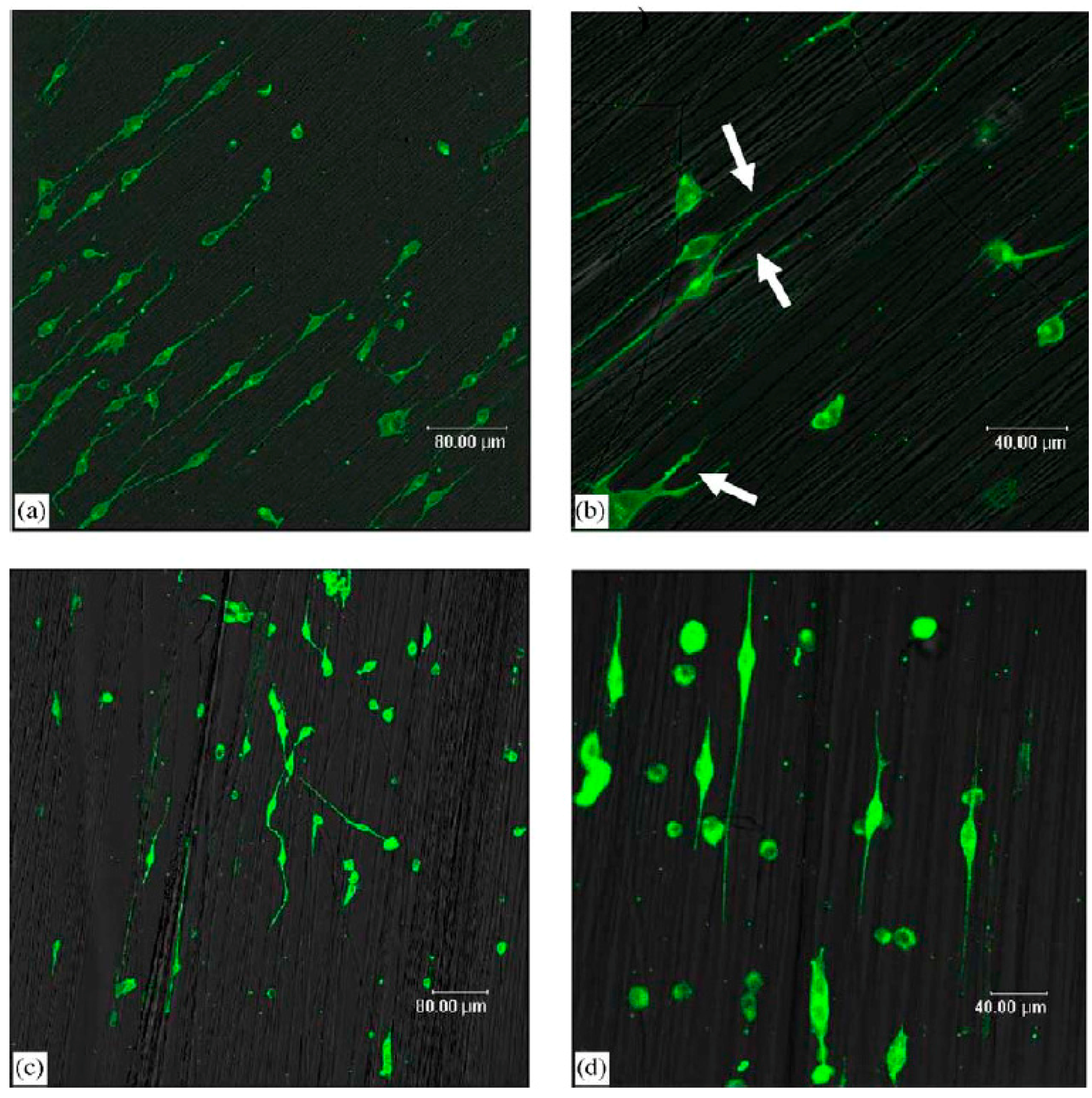 Polymers 09 00076 g002