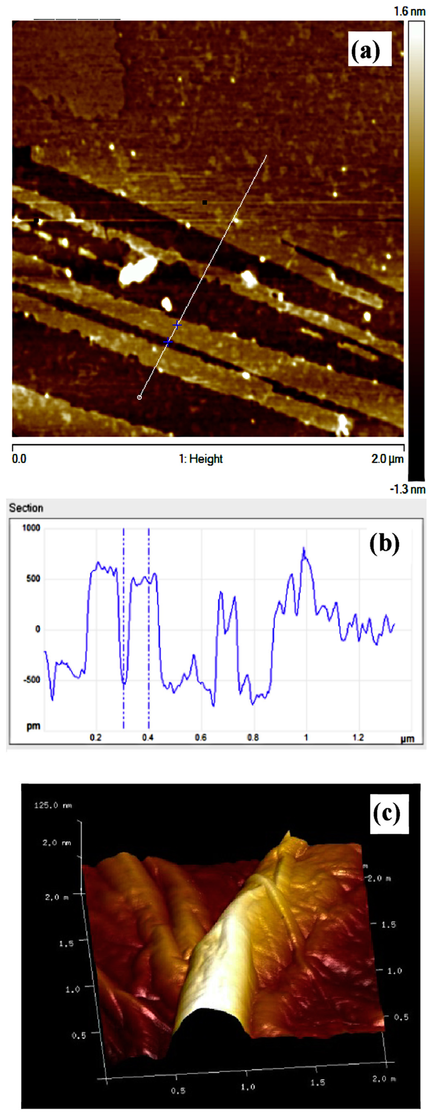 Polymers 09 00076 g004