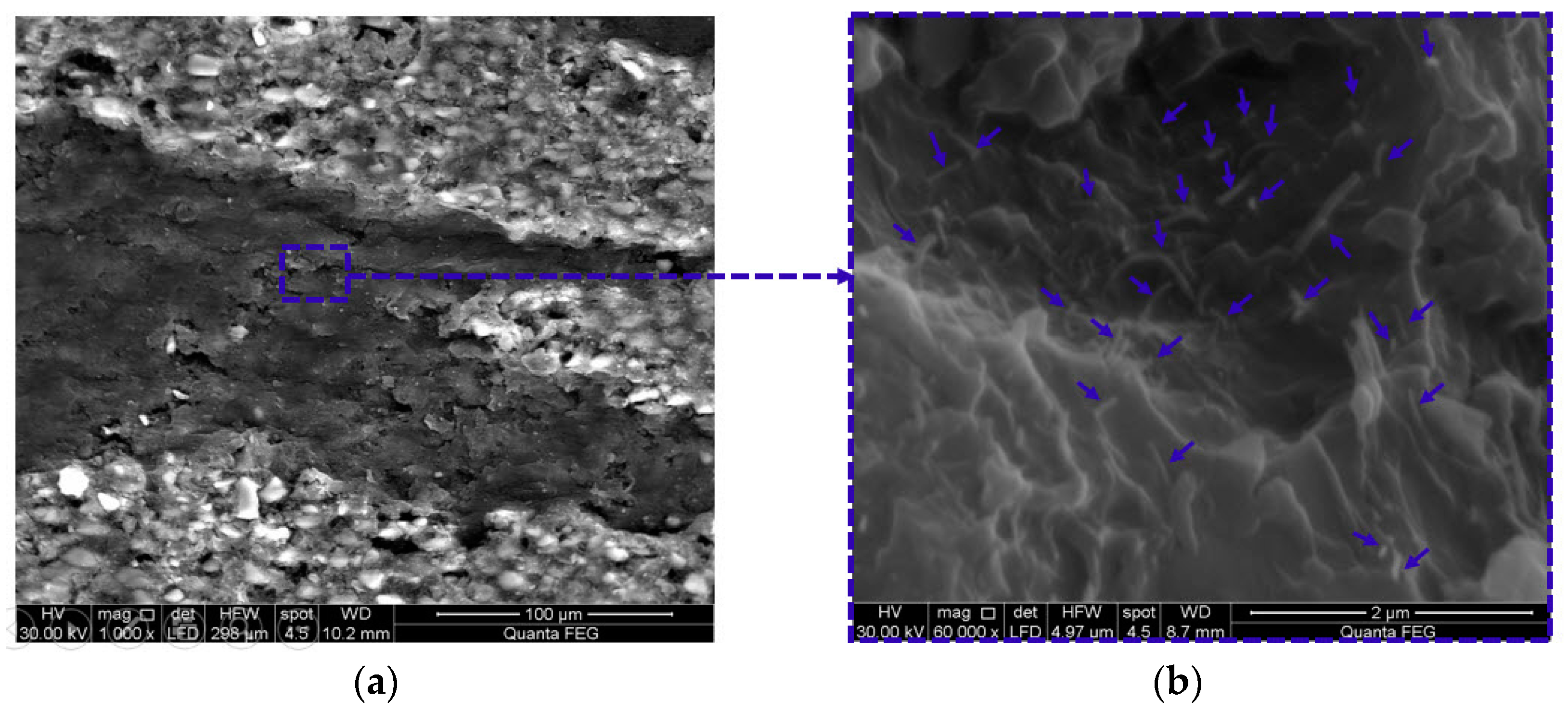 Polymers 09 00094 g003