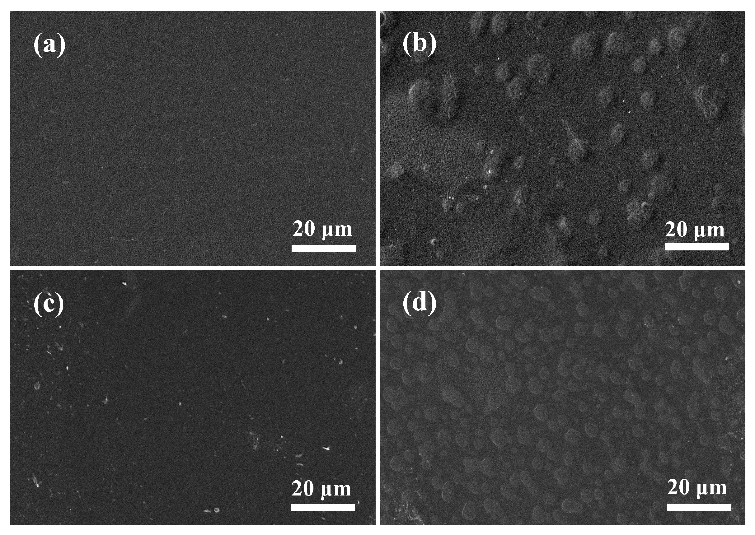 Polymers 09 00247 g003