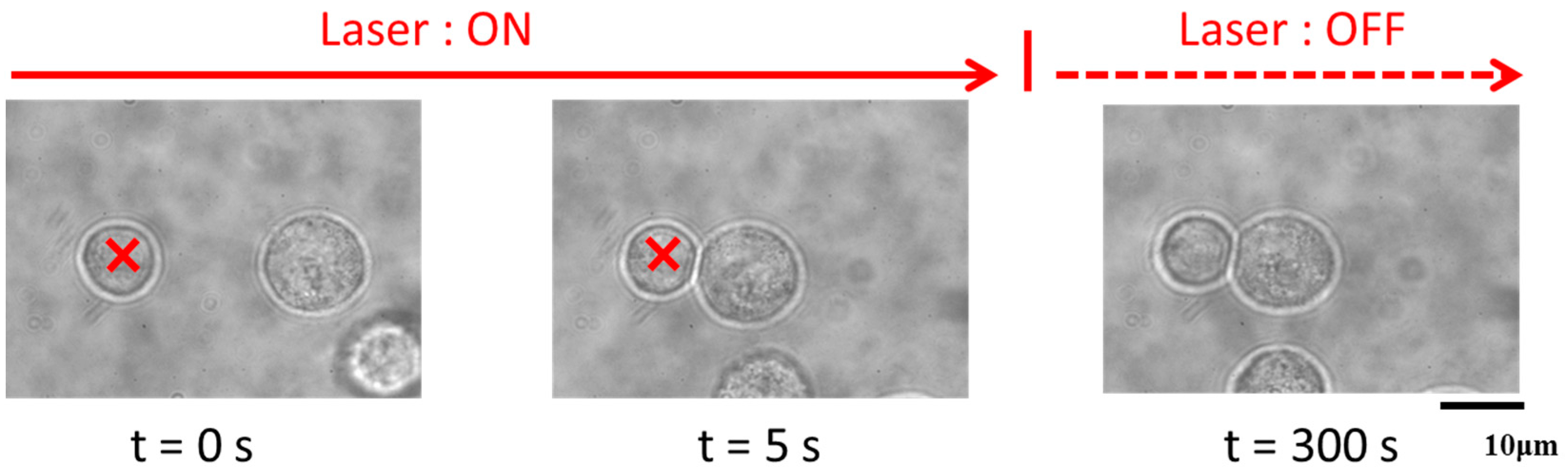 Polymers 09 00319 g005