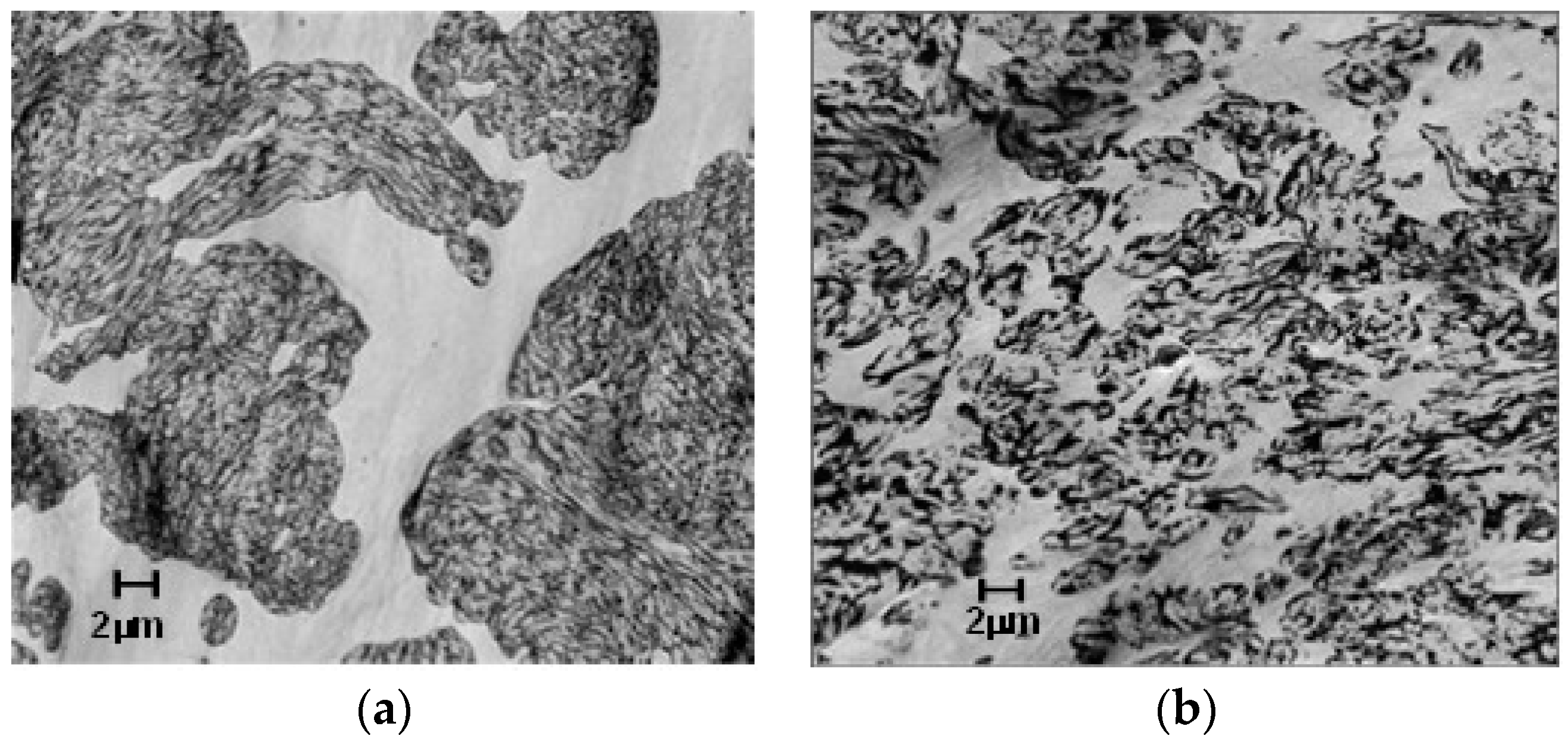 Polymers 09 00433 g015