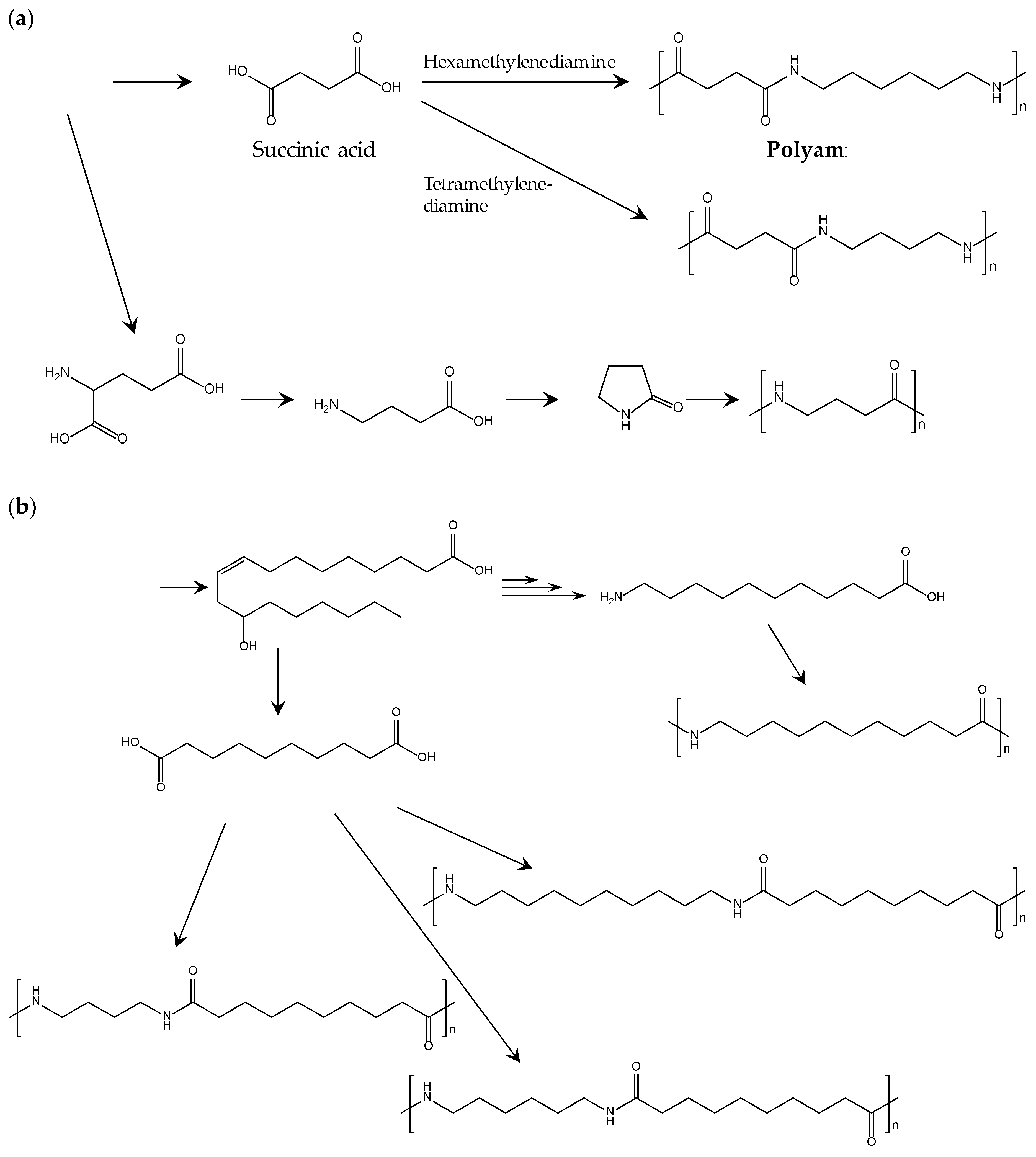 pdf psychoanalysen die