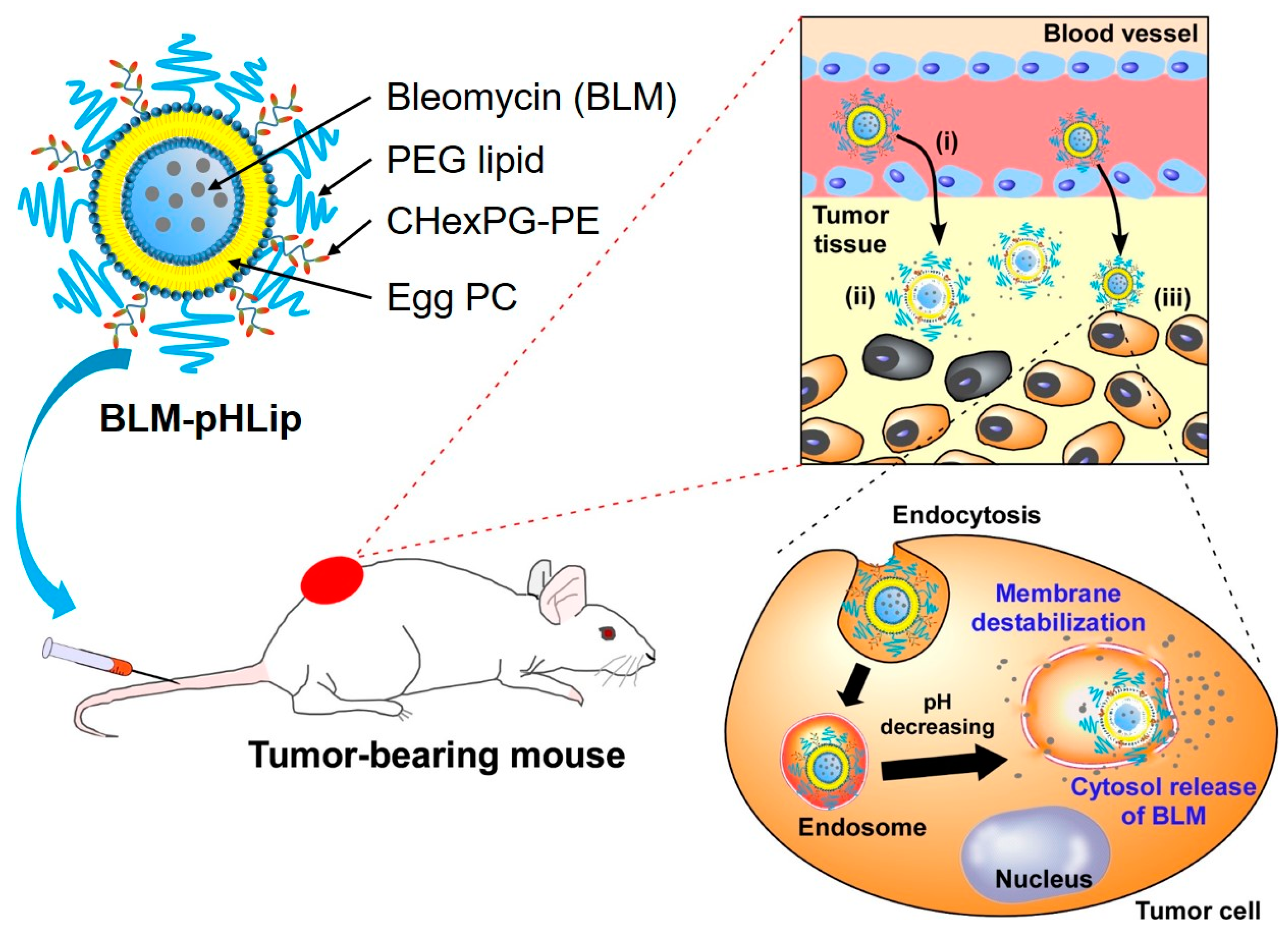 Polymers 10 00074 g001