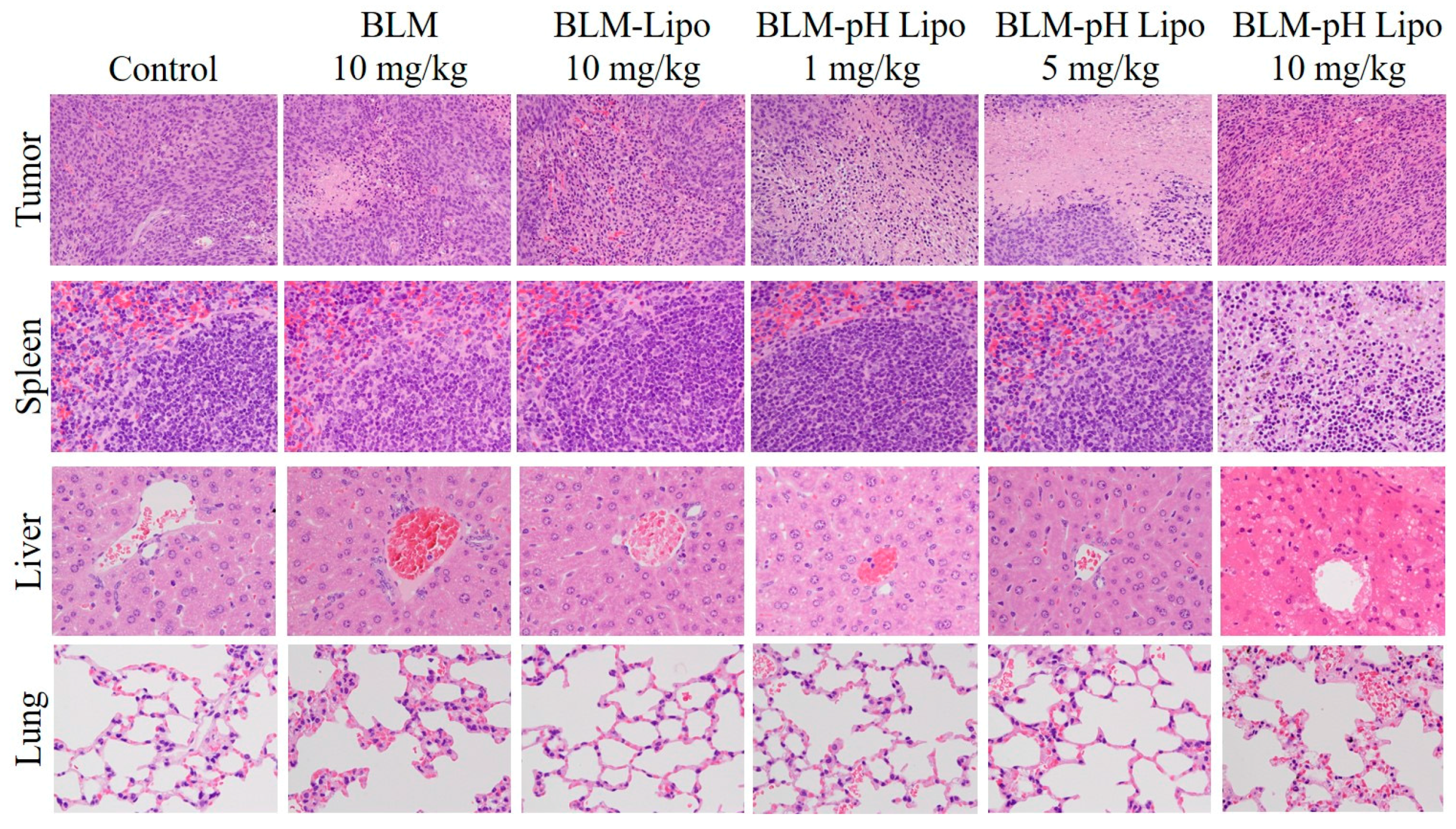 Polymers 10 00074 g007