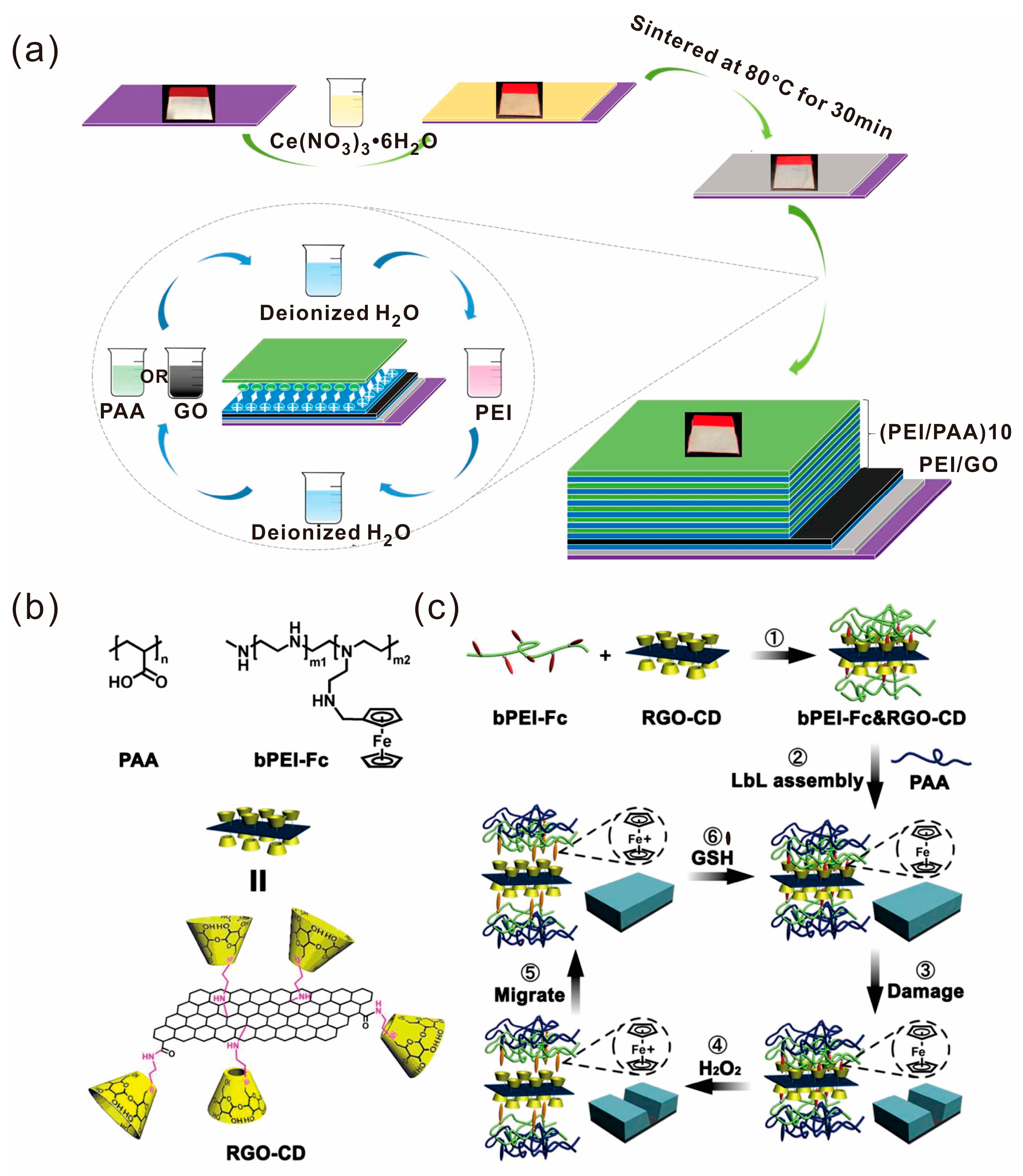 Polymers 10 00114 g006