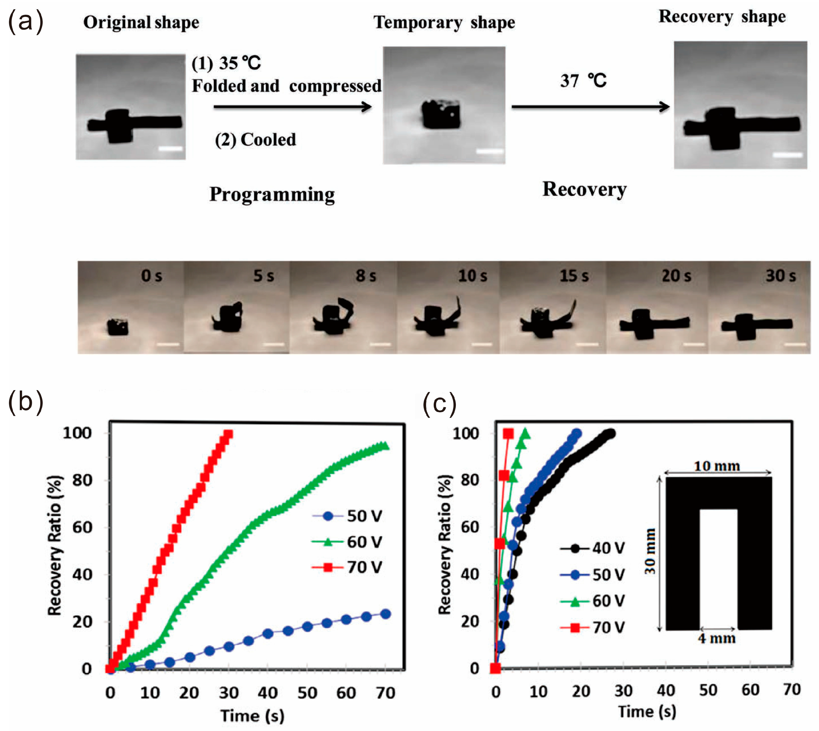 Polymers 10 00114 g012