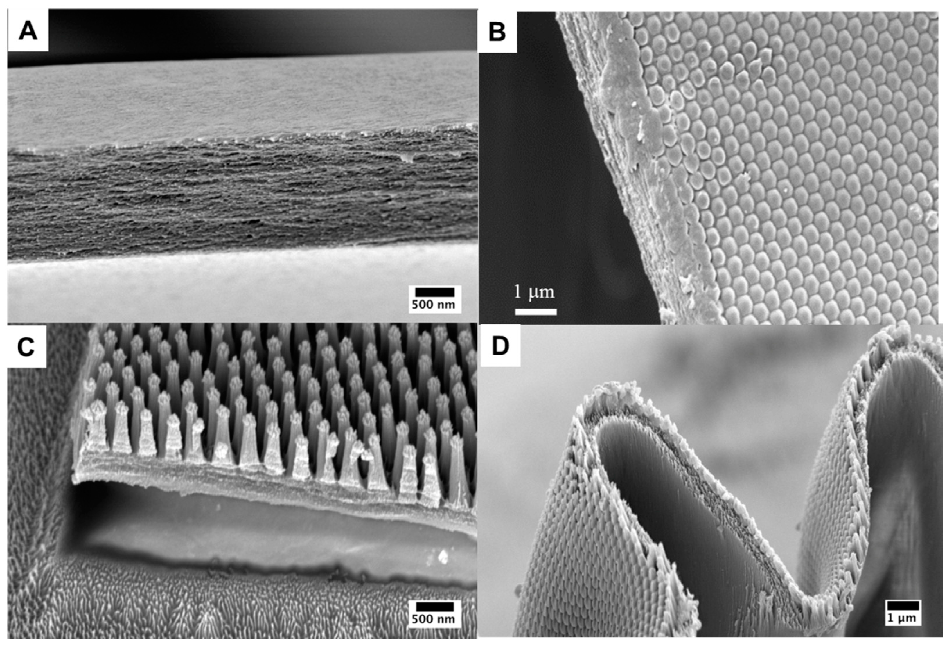 Polymers 10 00218 g004