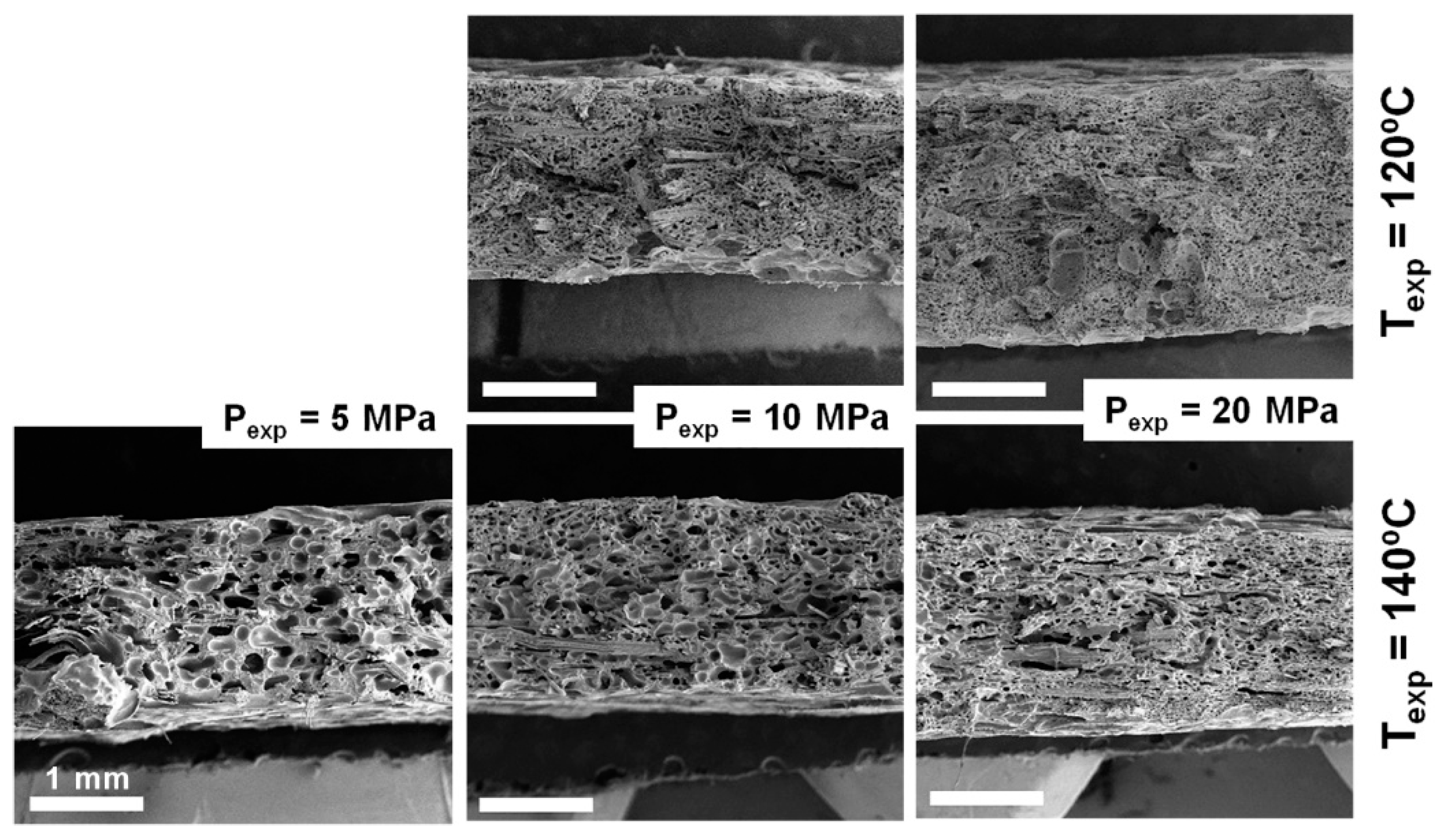 Polymers 10 00249 g008