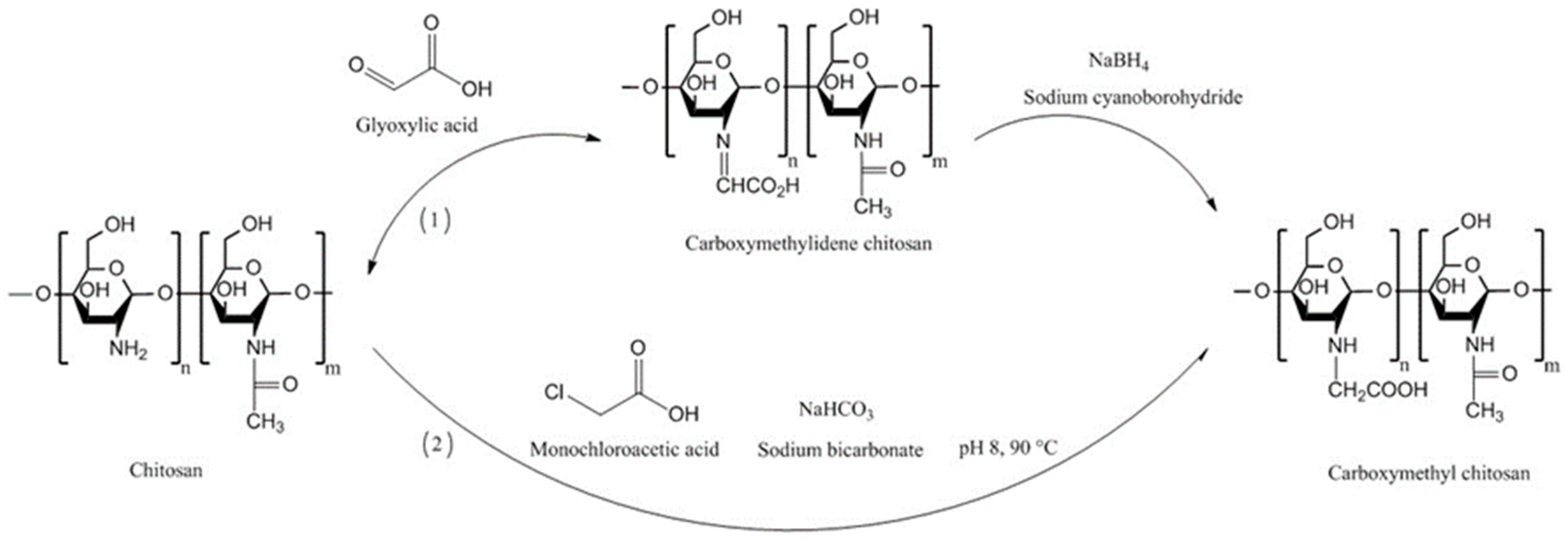 Polymers 10 00267 g007