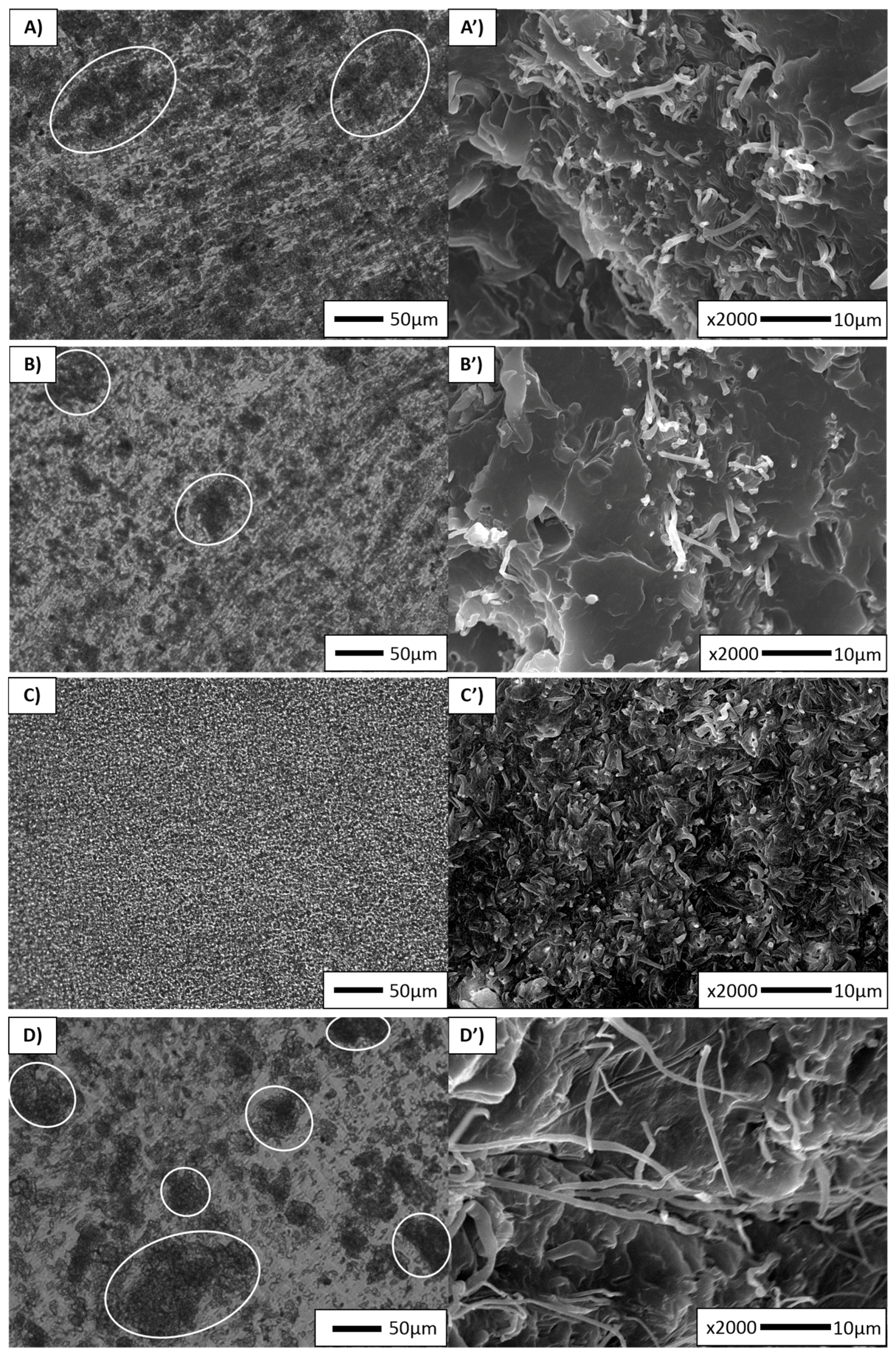 Polymers 10 00291 g003a
