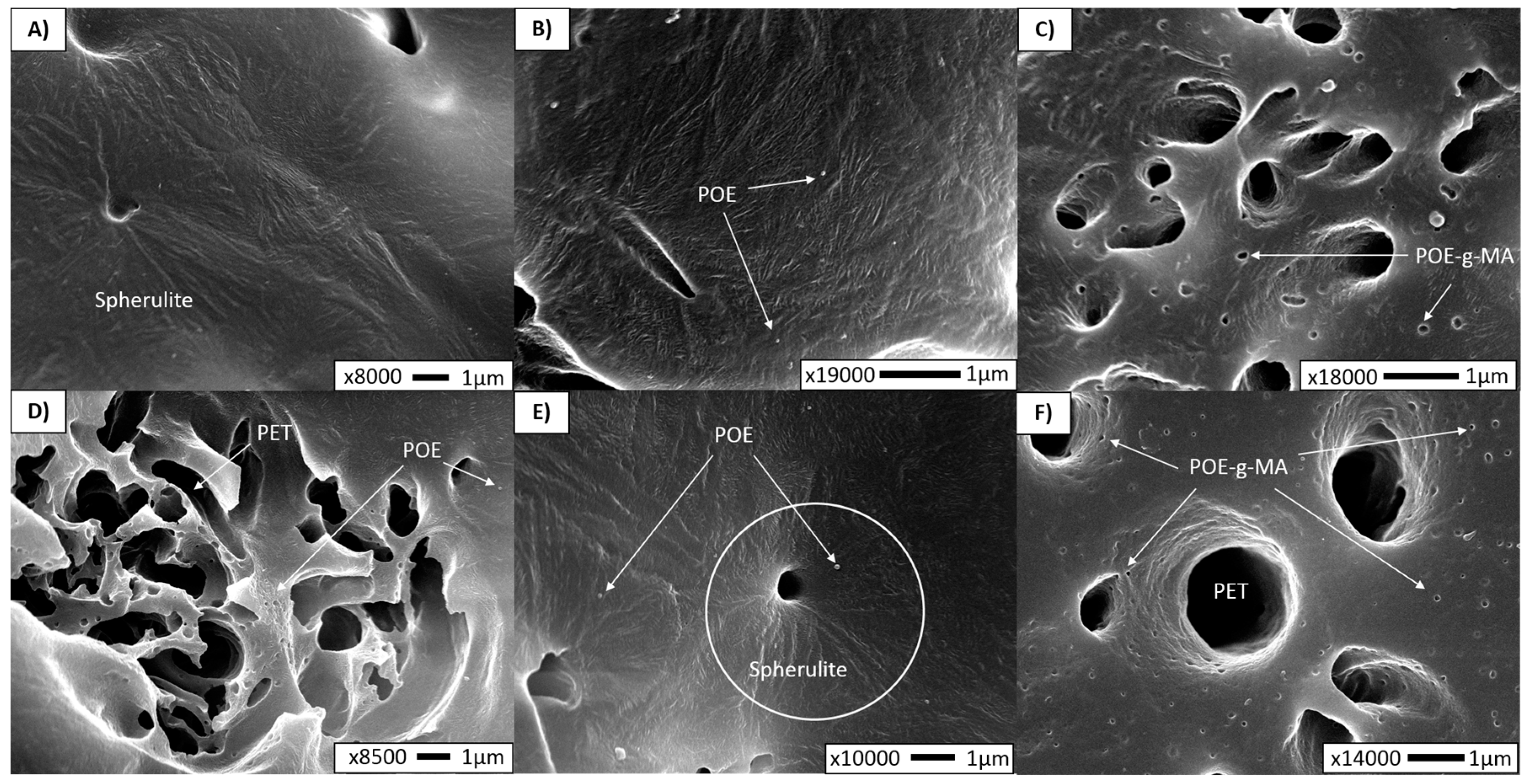 Polymers 10 00291 g004