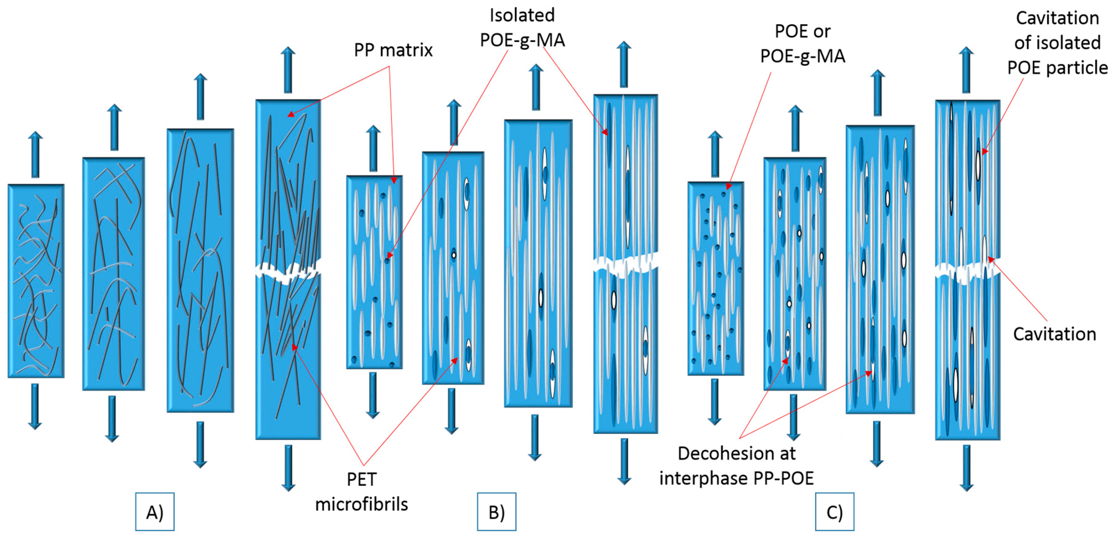 Polymers 10 00291 g006