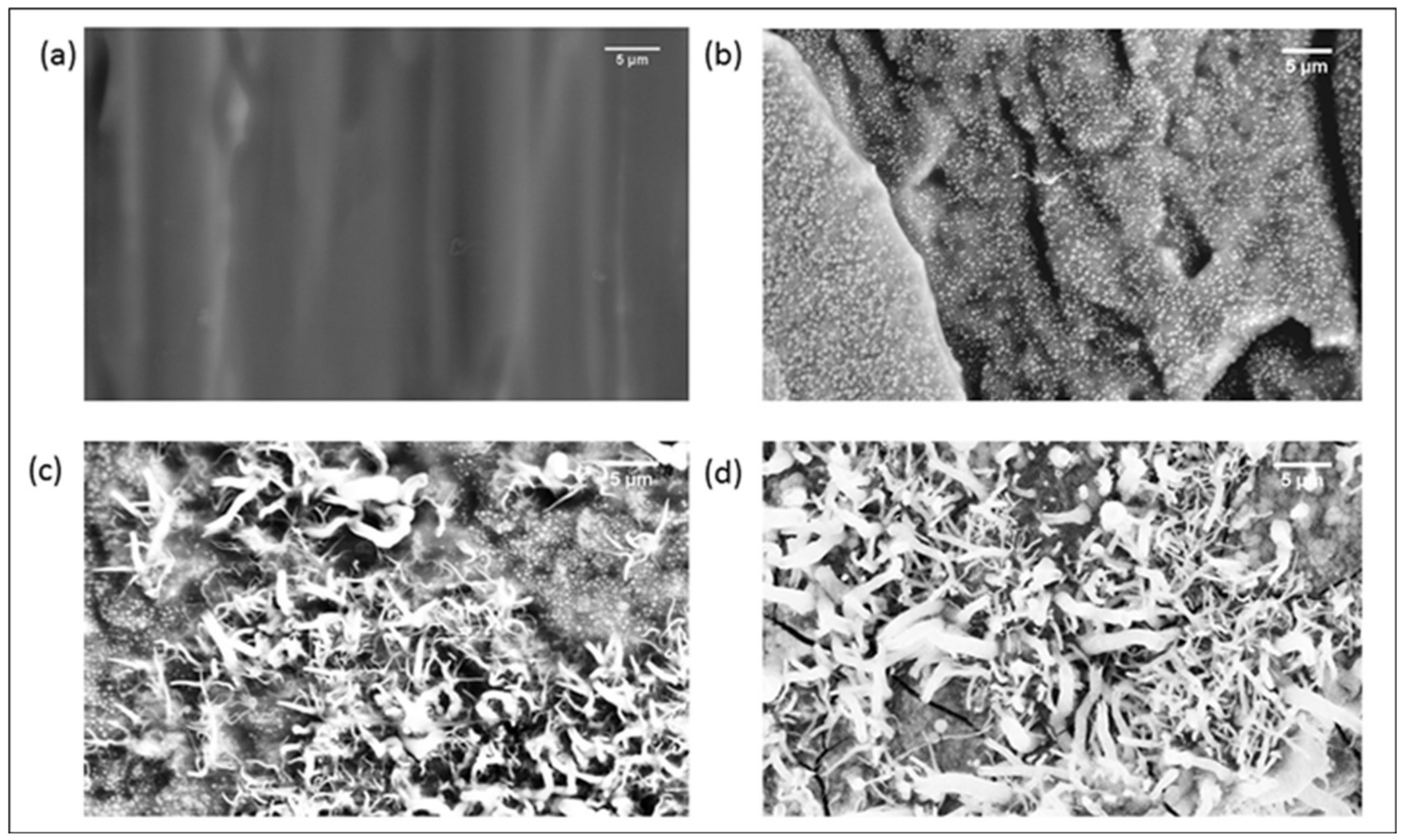 Polymers 10 00400 g003
