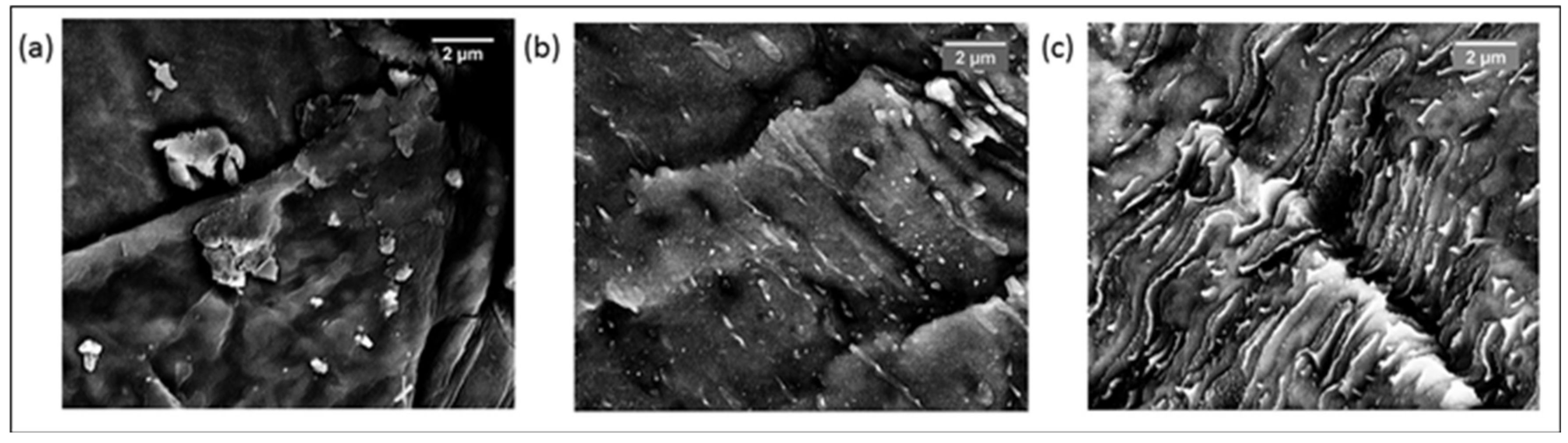 Polymers 10 00400 g004