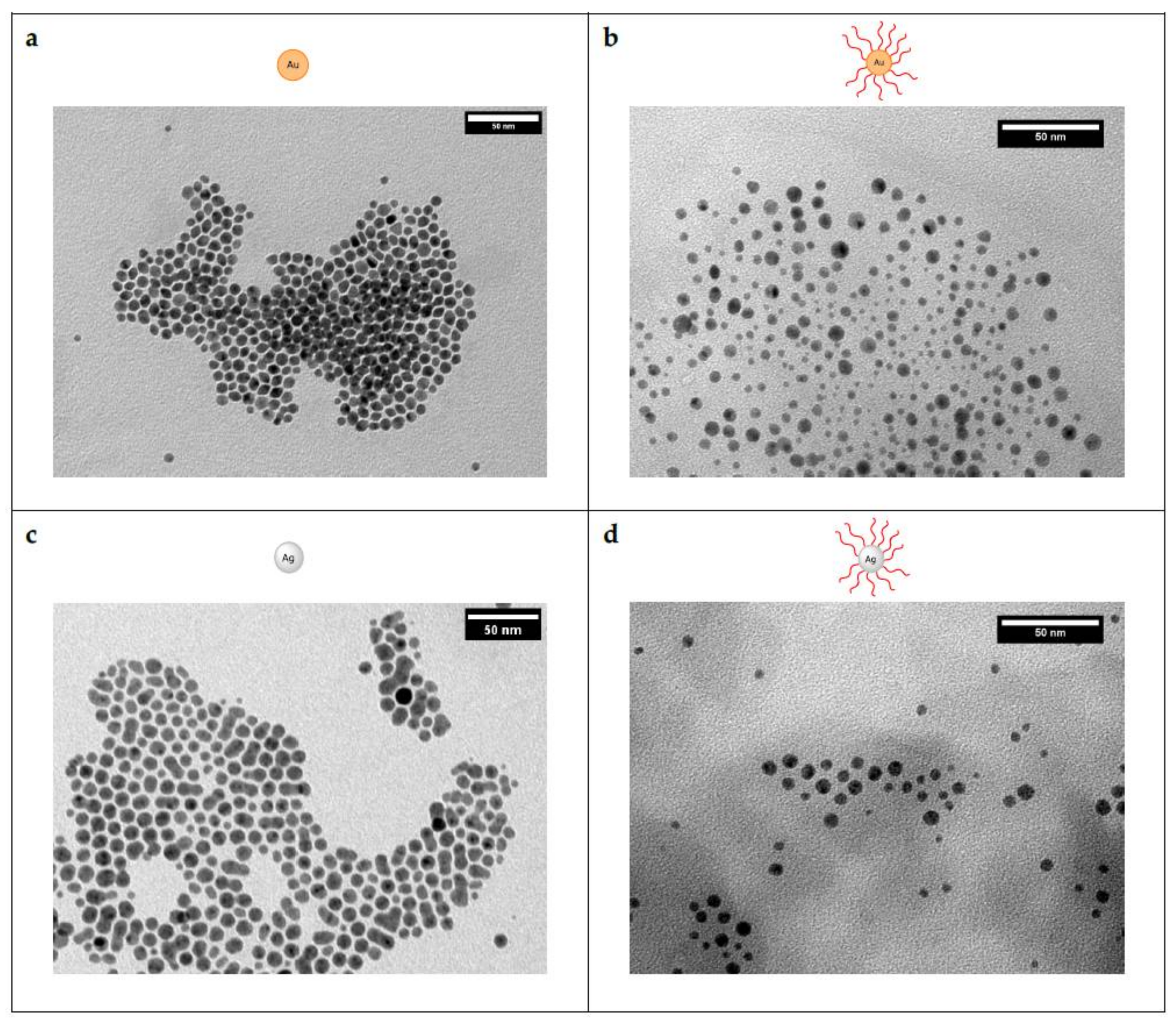 Polymers 10 00407 g002