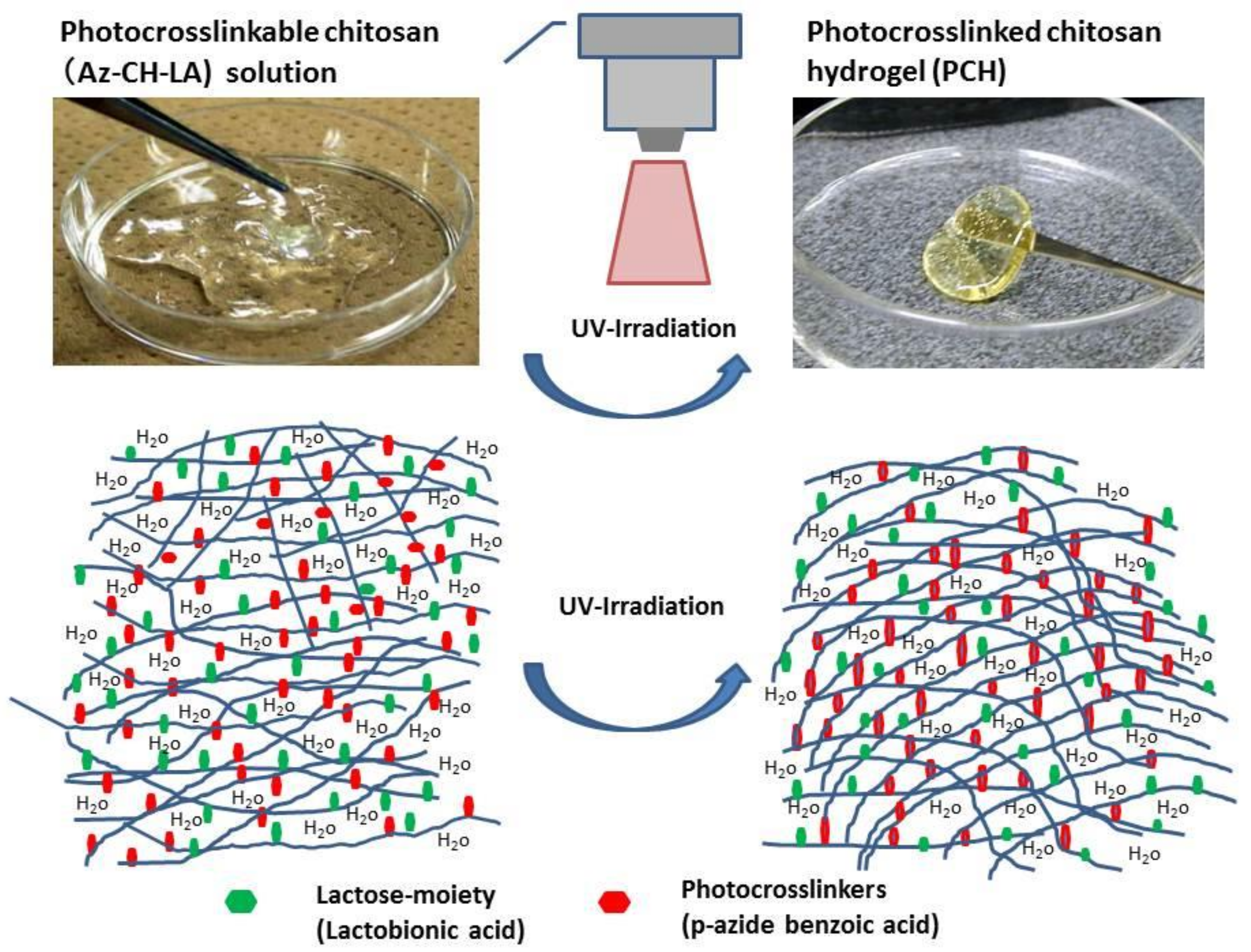 Polymers 10 00410 g001