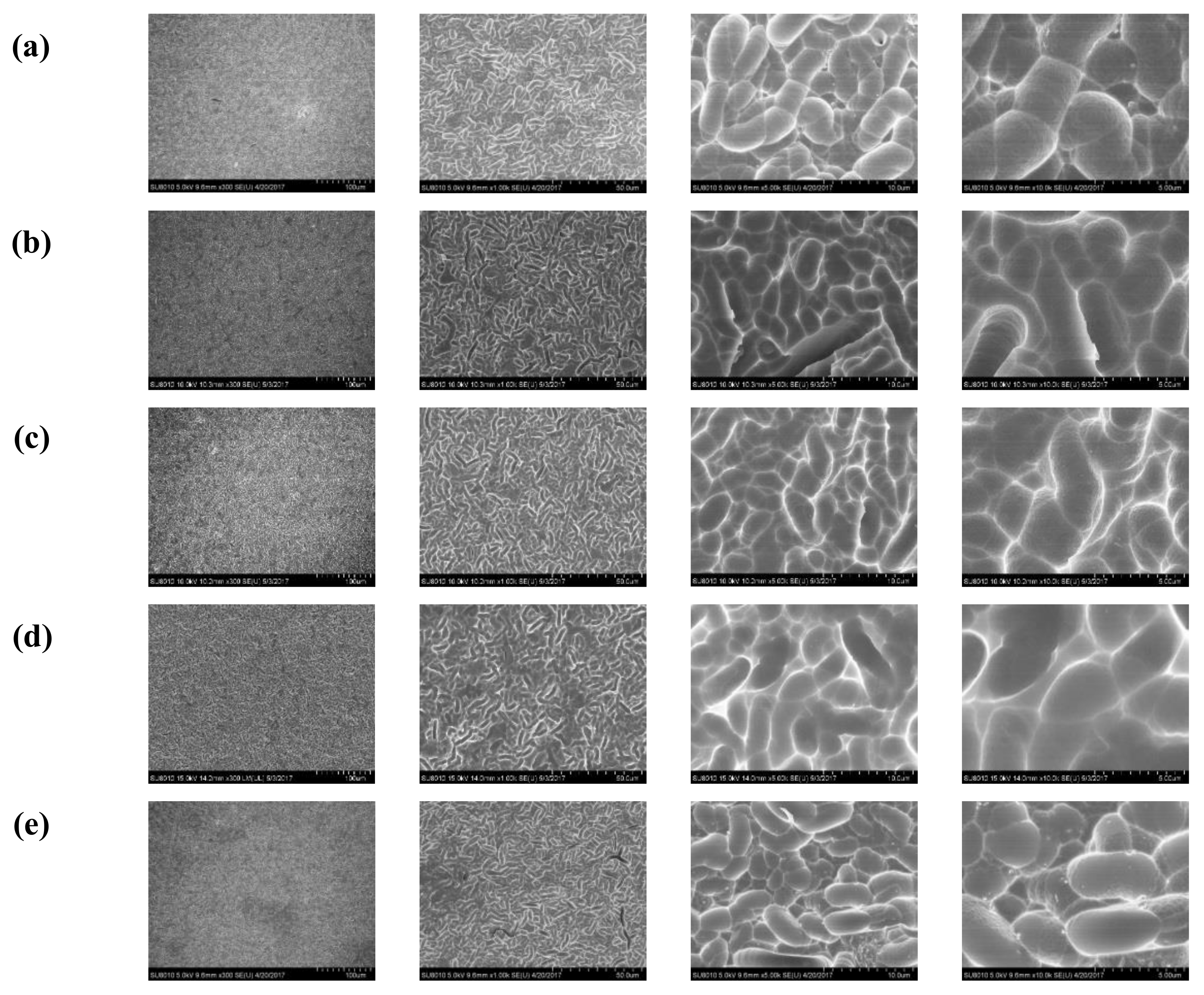 Polymers 10 00417 g003