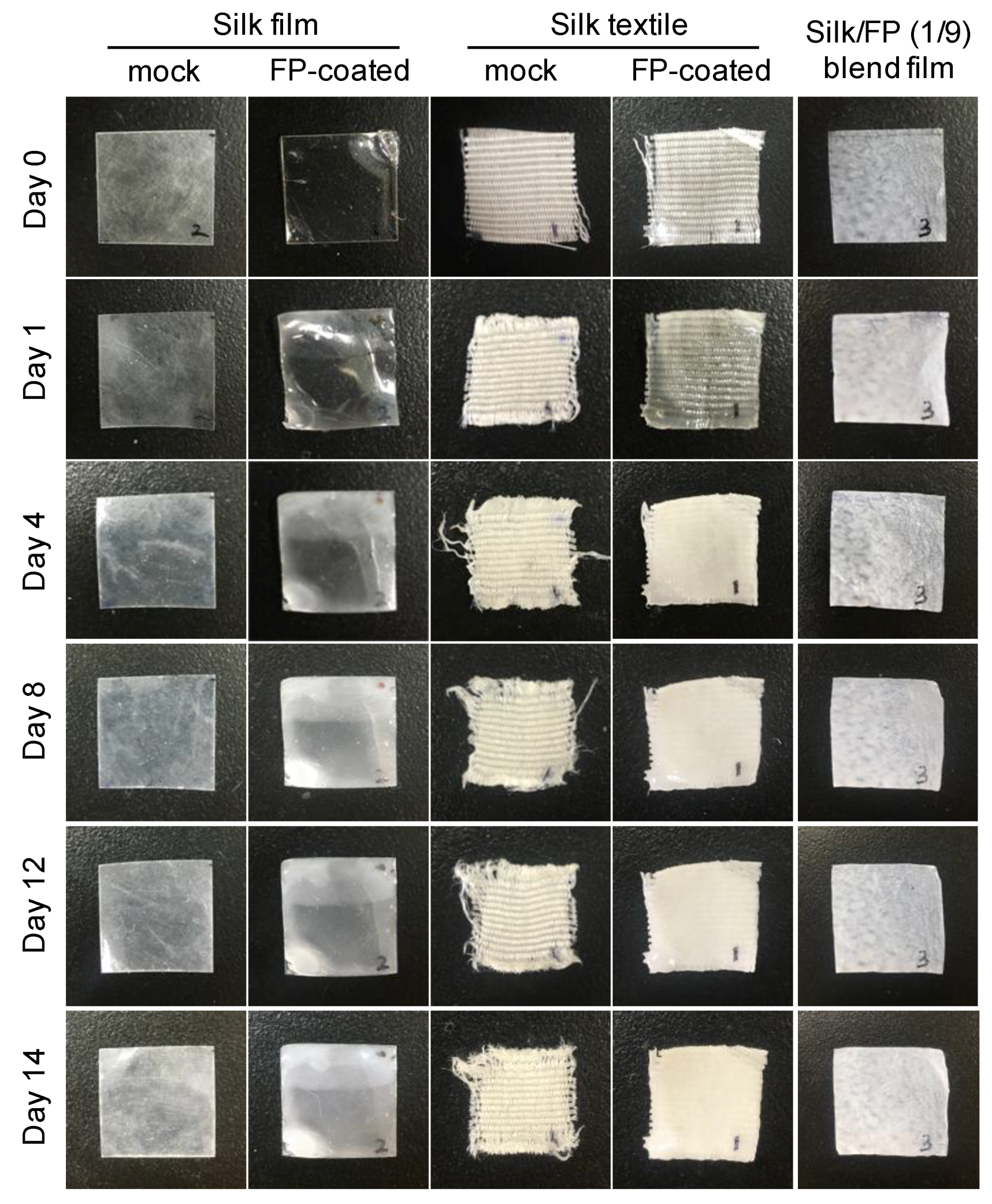 Polymers 10 00459 g010