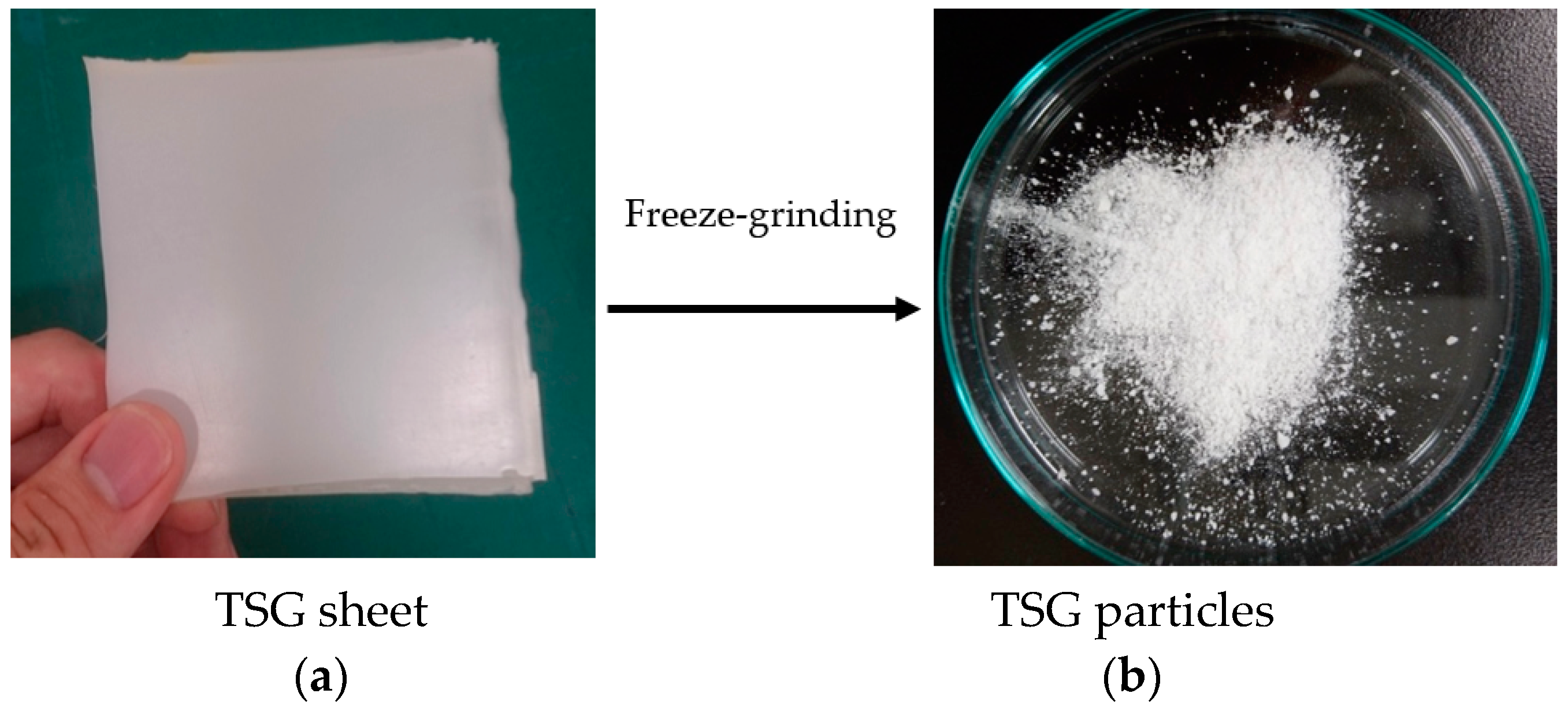 Polymers 10 00486 g001