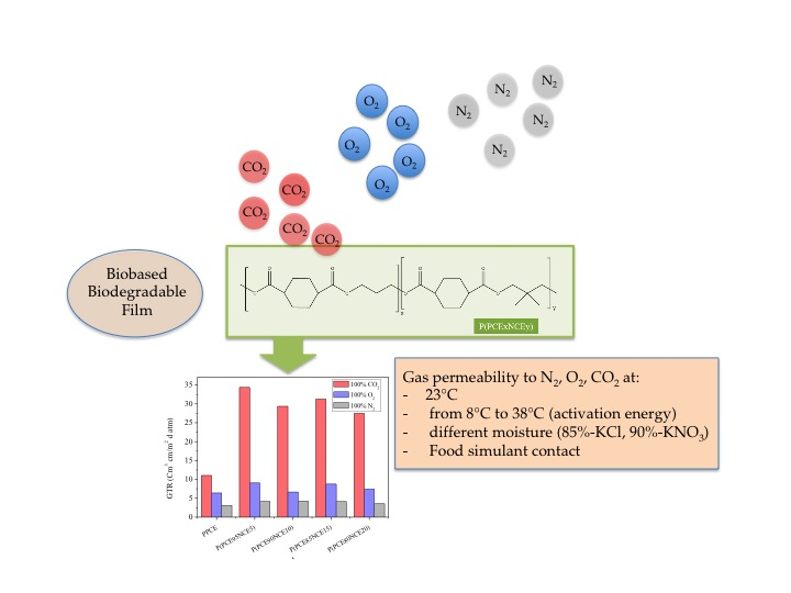 Polymers Free FullText Barrier Properties of Poly(Propylene