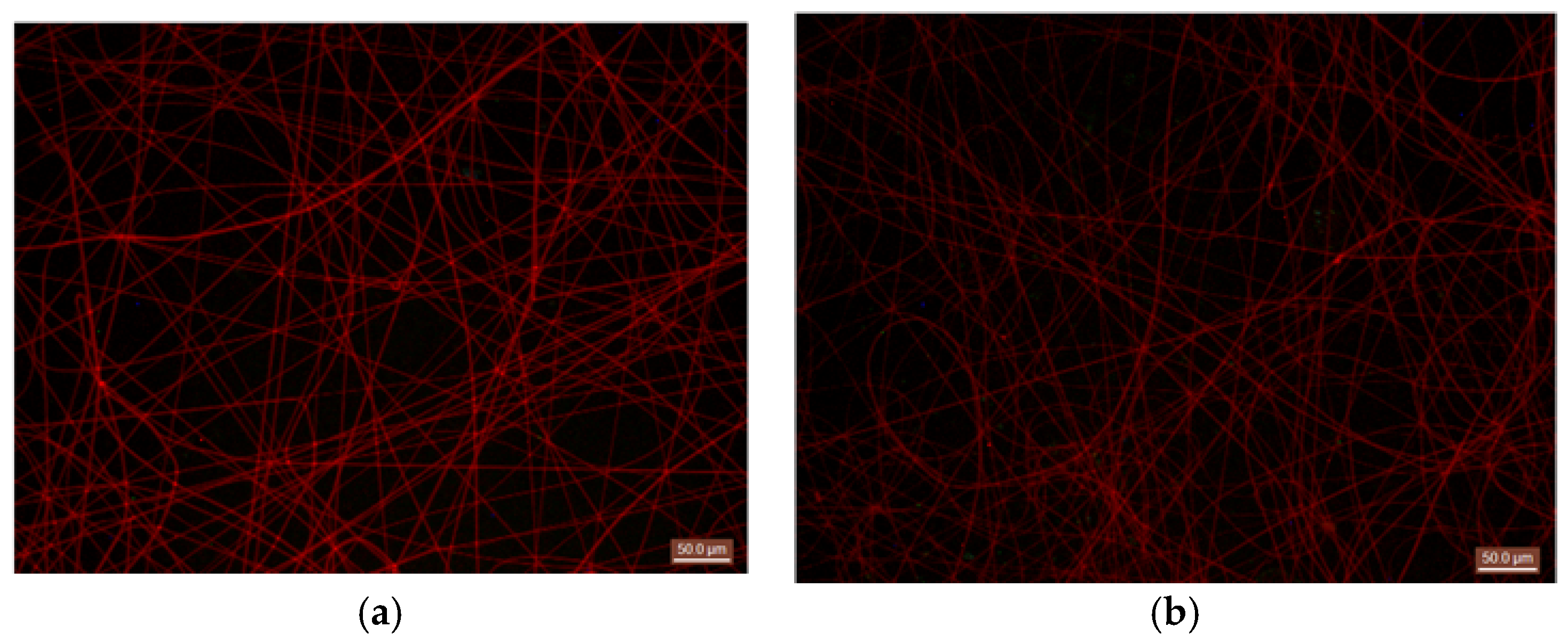 Polymers 10 00508 g004